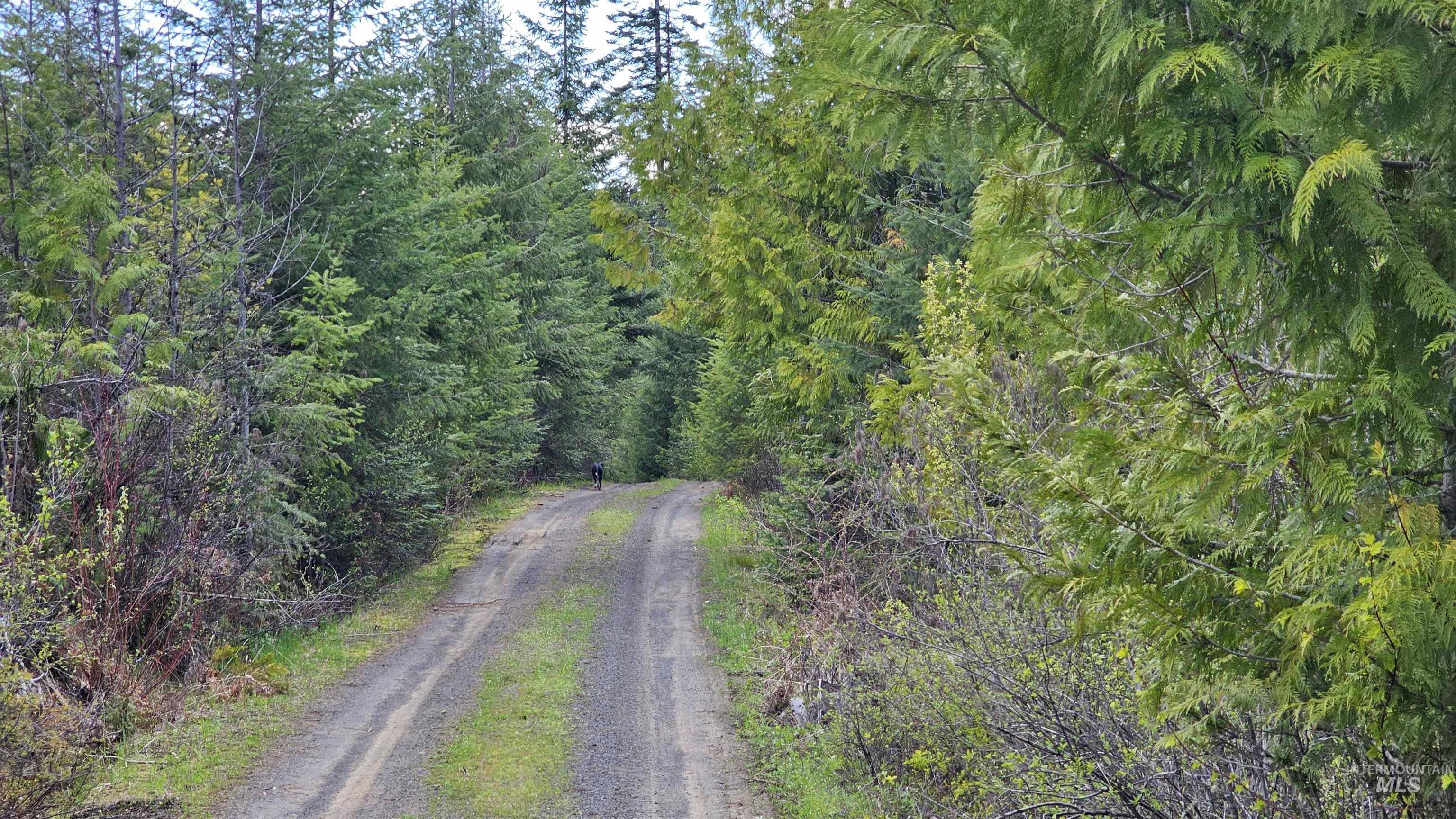 TBD Lynx Lane, Lenore, Idaho 83541, Land For Sale, Price $695,000,MLS 98984864