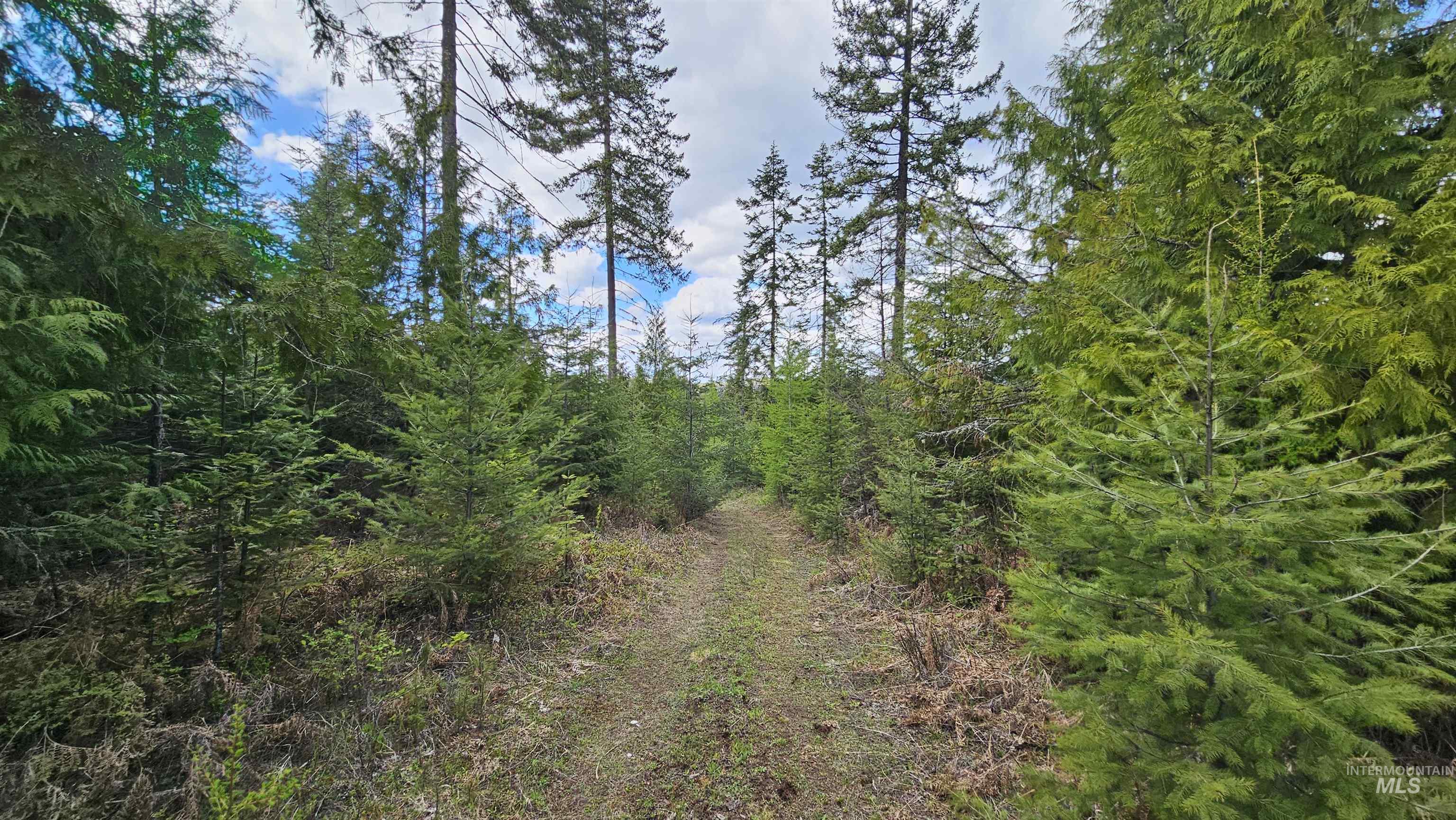 TBD Lynx Lane, Lenore, Idaho 83541, Land For Sale, Price $695,000,MLS 98984864