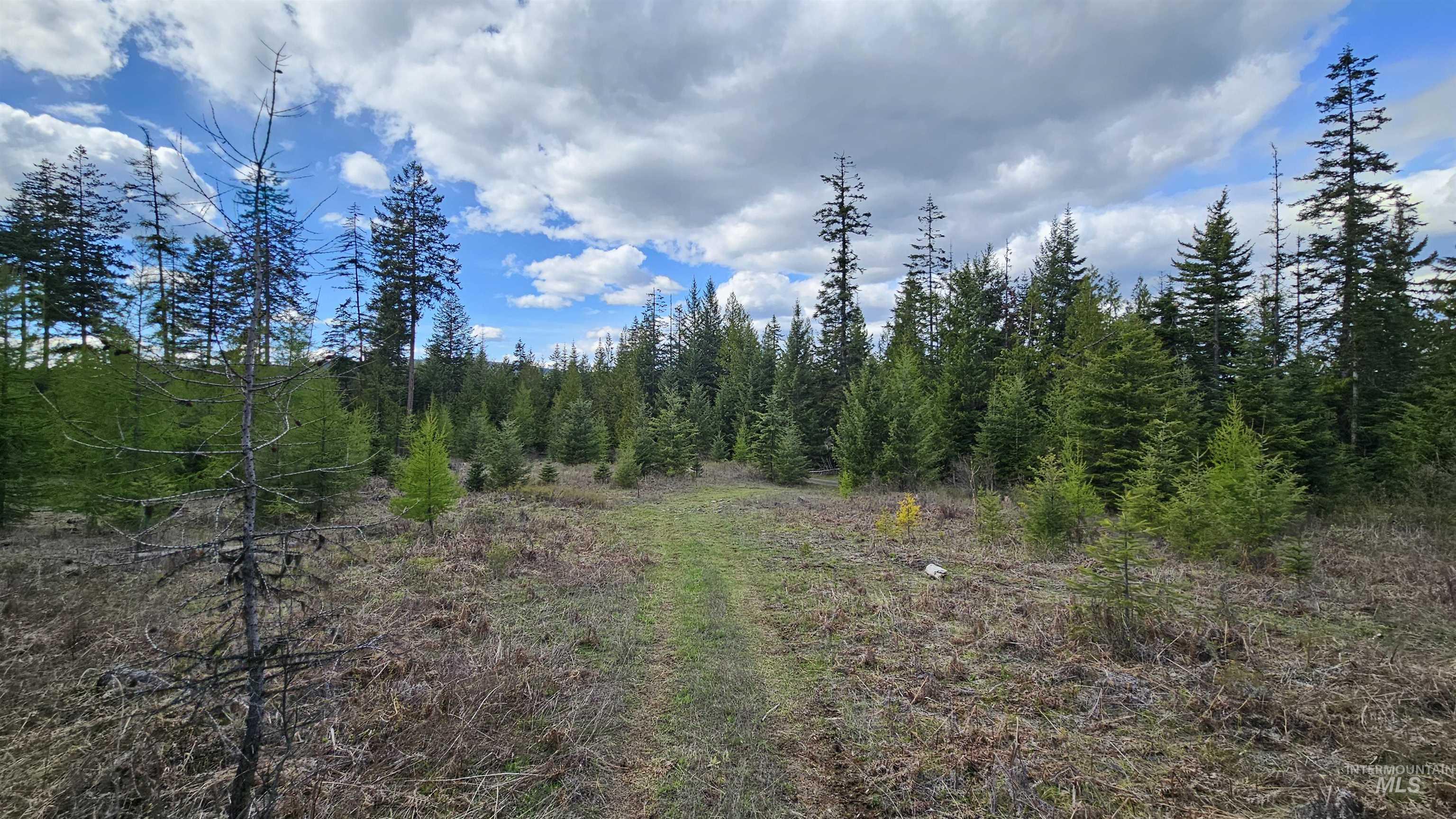 TBD Lynx Lane, Lenore, Idaho 83541, Land For Sale, Price $695,000,MLS 98984864