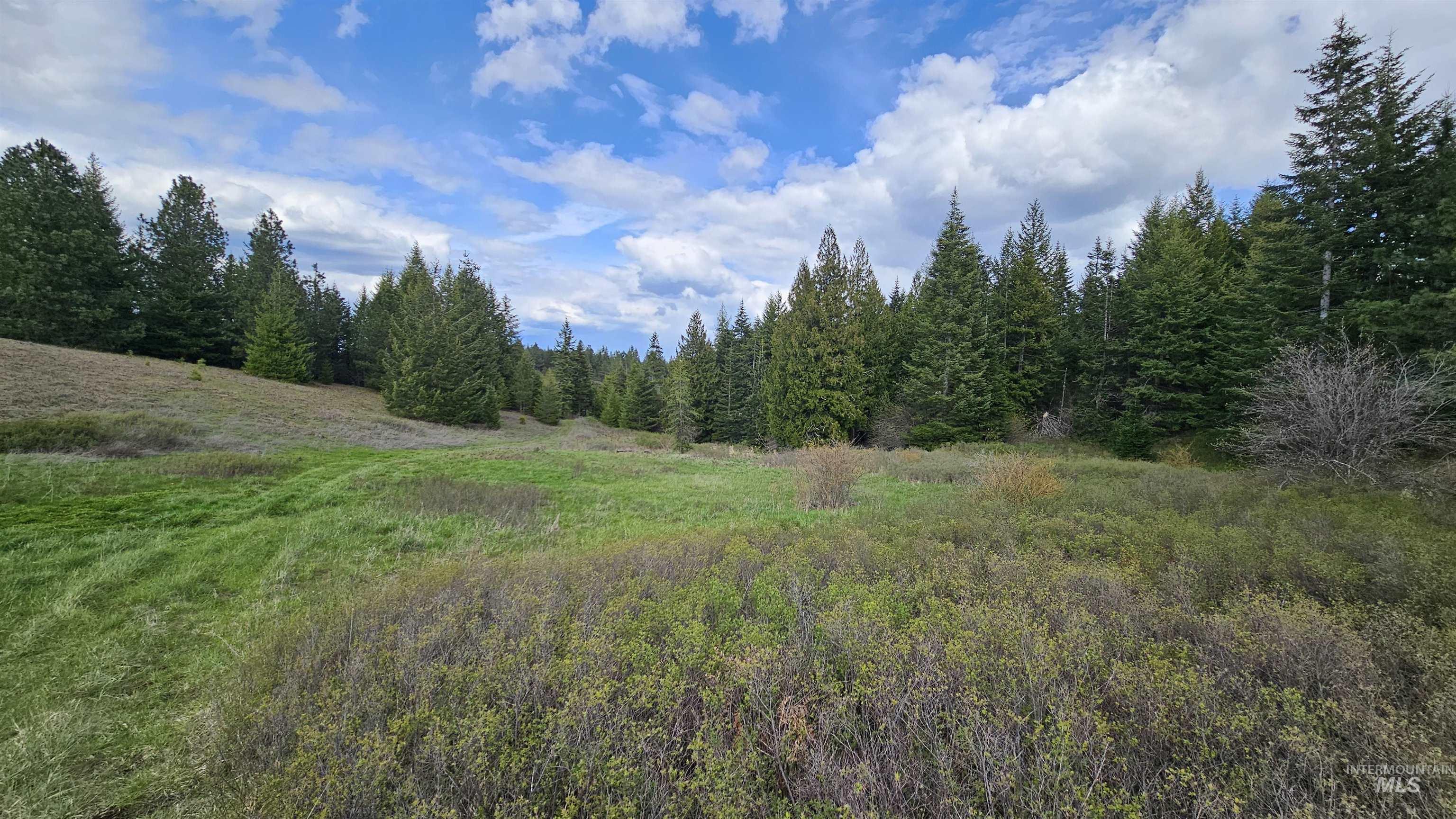 TBD Lynx Lane, Lenore, Idaho 83541, Land For Sale, Price $695,000,MLS 98984864
