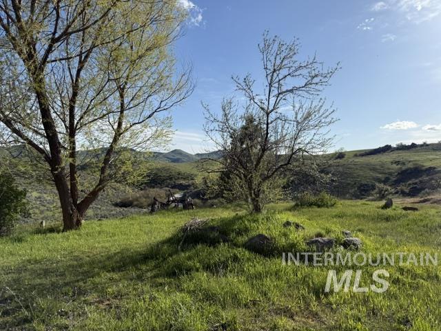 140 Brownlee Loop Rd, Horseshoe Bend, Idaho 83629, 2 Bedrooms, 1 Bathroom, Residential For Sale, Price $325,000,MLS 98984921
