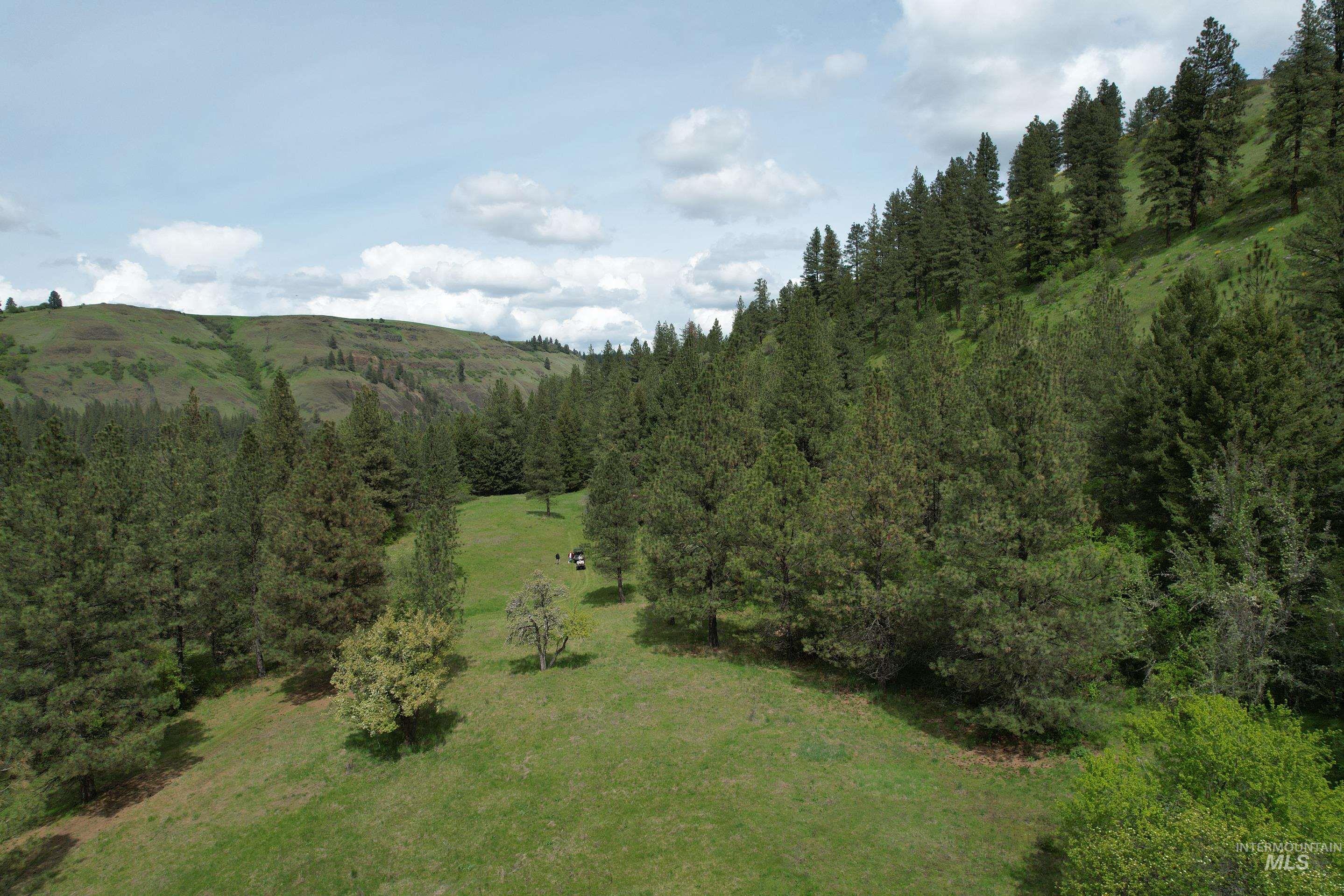 1017 Tiger Drive, Kendrick, Idaho 83537, 4 Bedrooms, 2.5 Bathrooms, Farm & Ranch For Sale, Price $3,495,000,MLS 98984927