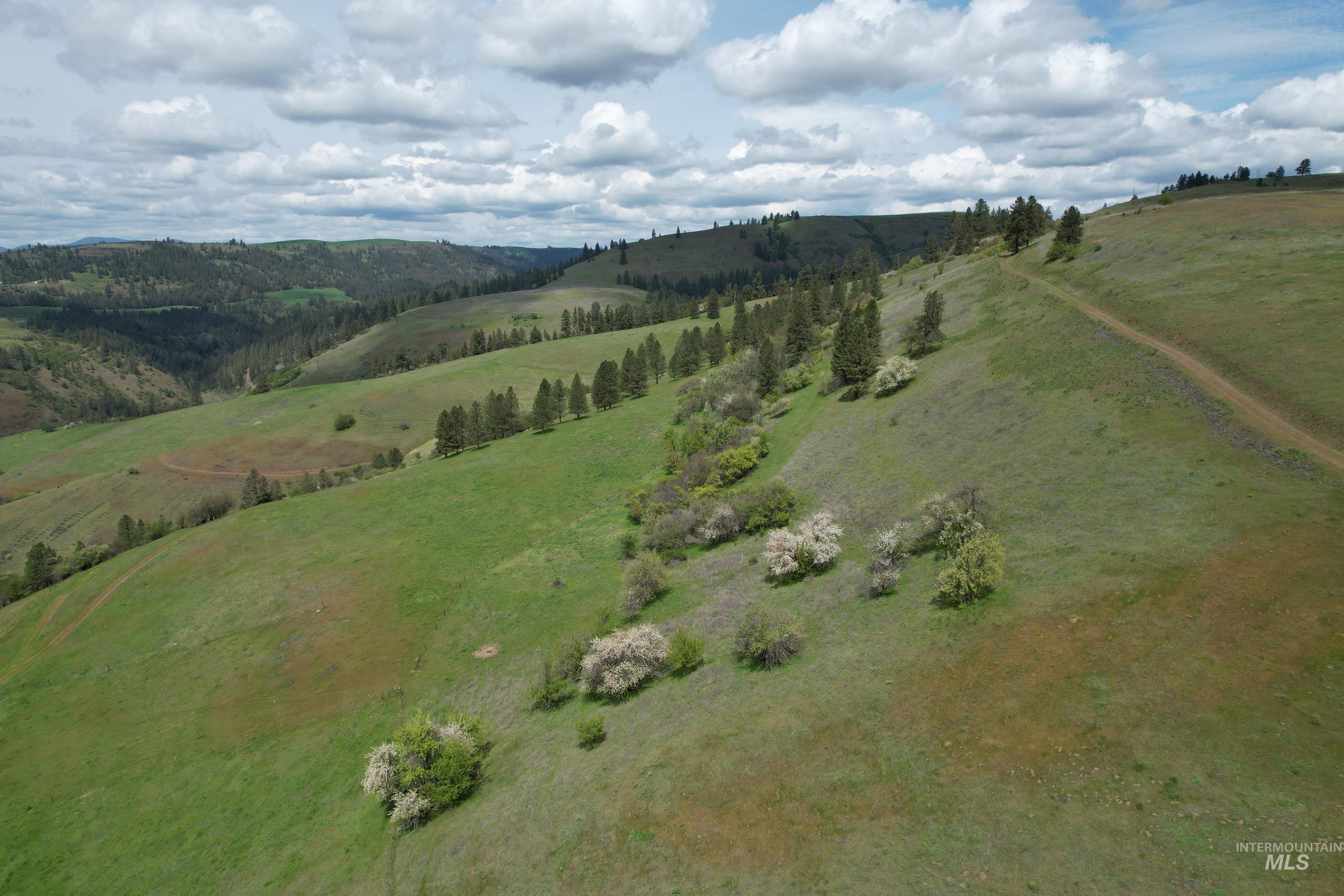1017 Tiger Drive, Kendrick, Idaho 83537, 4 Bedrooms, 2.5 Bathrooms, Farm & Ranch For Sale, Price $3,495,000,MLS 98984927