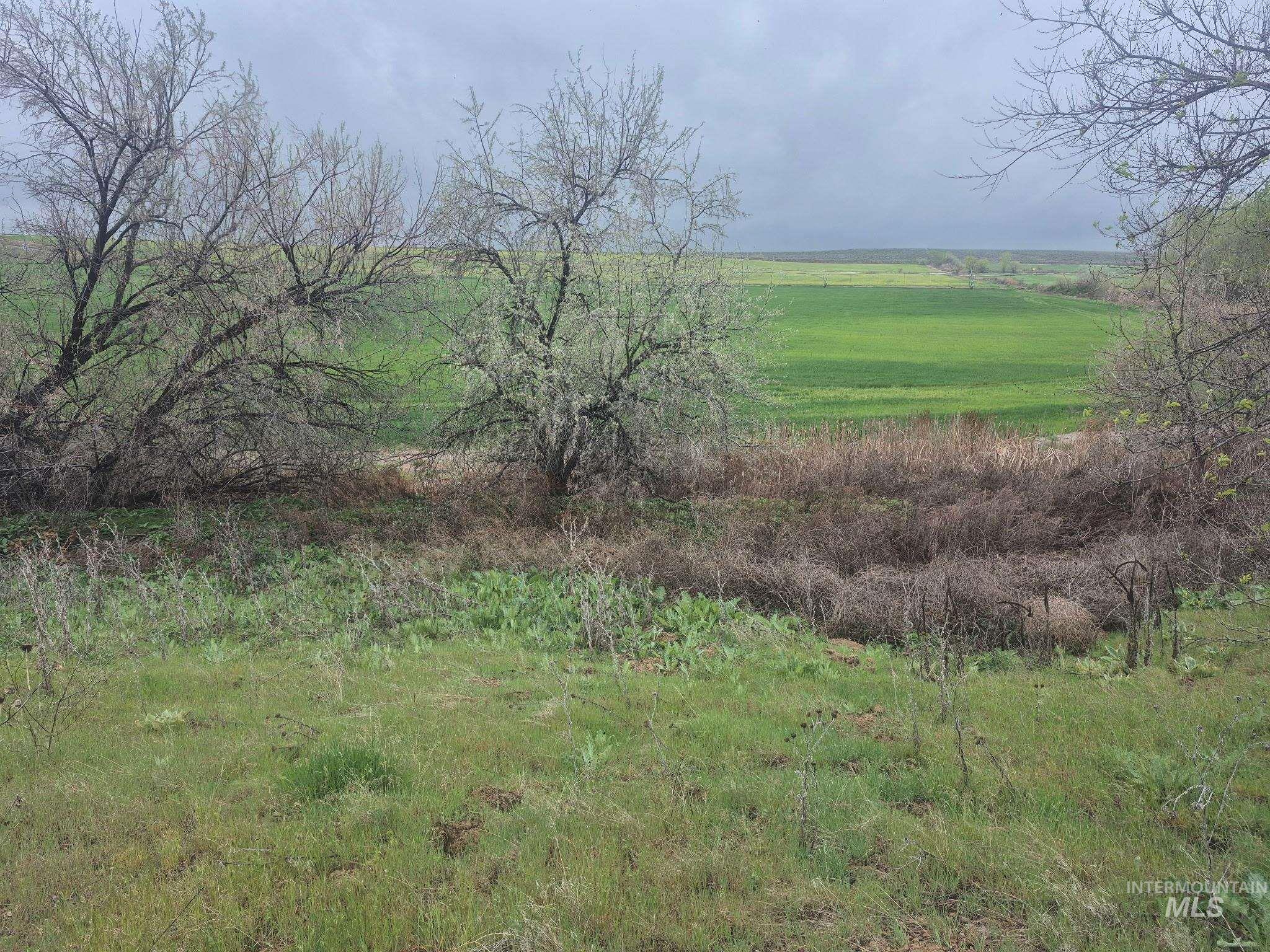 TL2901 Echo Road- Parcel #1, Ontario, Oregon 97914, Land For Sale, Price $110,900,MLS 98984939