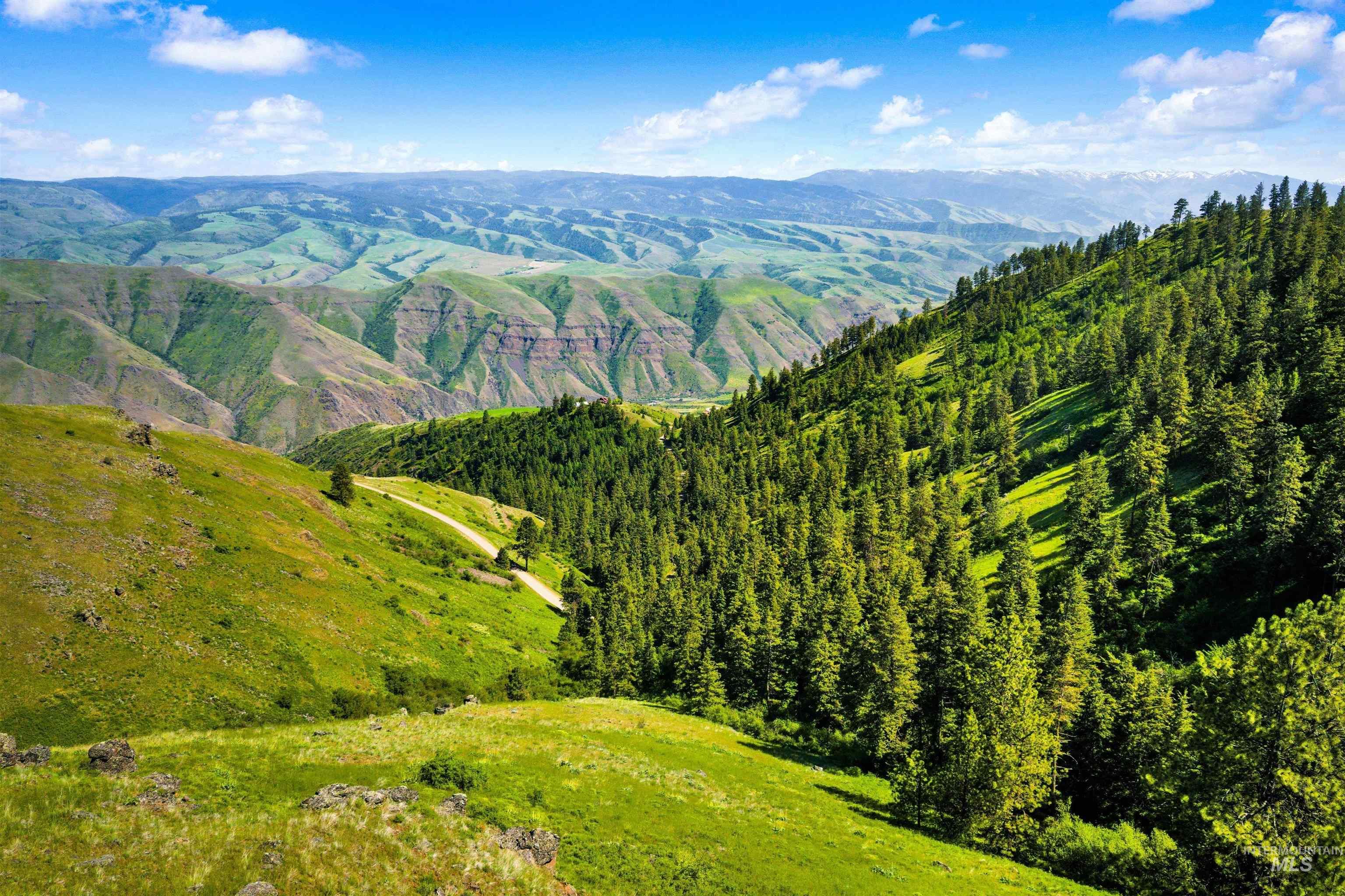 192 Short Cut Road, White Bird, Idaho 83554, 3 Bedrooms, 2 Bathrooms, Residential For Sale, Price $1,875,000,MLS 98984942