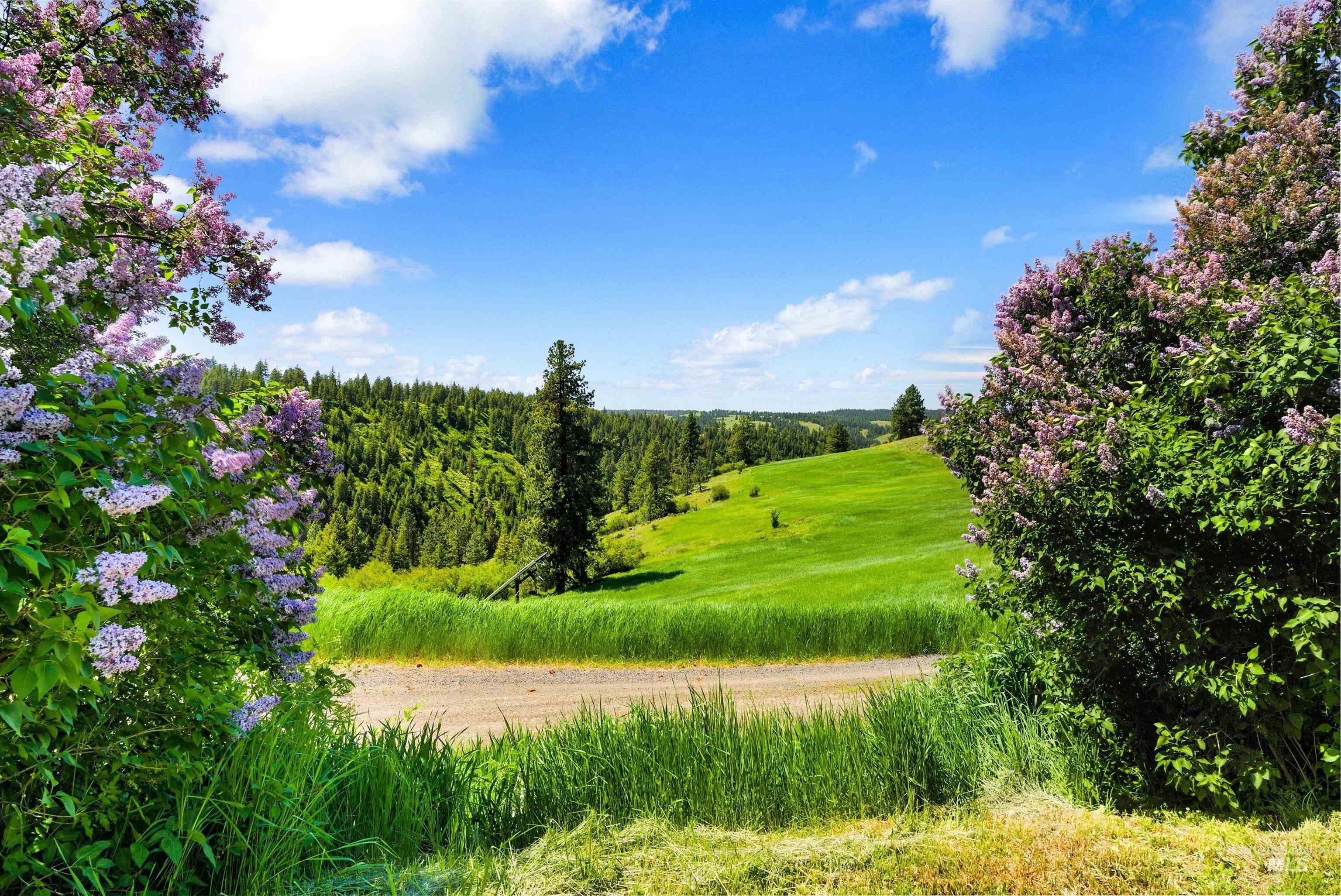 192 Short Cut Road, White Bird, Idaho 83554, 3 Bedrooms, 2 Bathrooms, Residential For Sale, Price $1,875,000,MLS 98984942