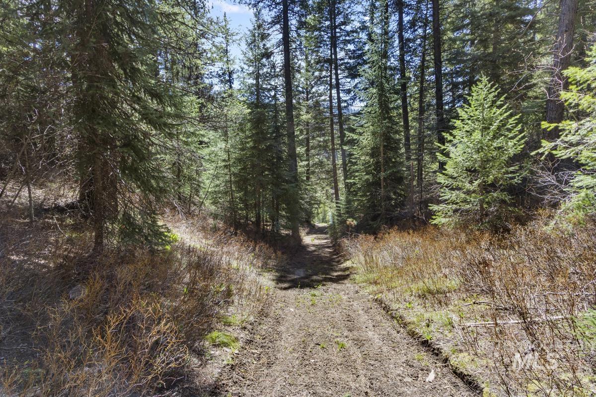 219 Tripod View Drive, Cascade, Idaho 83611, Land For Sale, Price $565,000,MLS 98984944