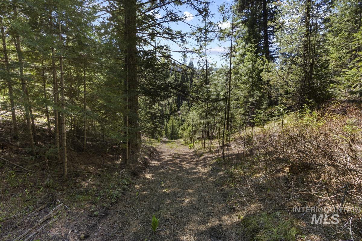 219 Tripod View Drive, Cascade, Idaho 83611, Land For Sale, Price $565,000,MLS 98984944