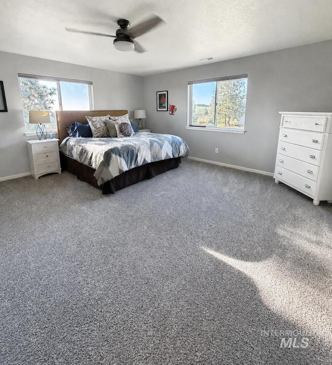 1049 Libey Road, Viola, Idaho 83872, 3 Bedrooms, 3 Bathrooms, Residential For Sale, Price $1,375,000,MLS 98984954