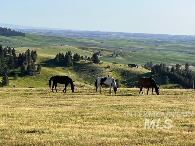 1049 Libey Road, Viola, Idaho 83872, 3 Bedrooms, 3 Bathrooms, Residential For Sale, Price $1,375,000, 98984954