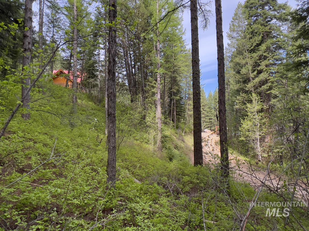 45 Landale Lane, Cascade, Idaho 83611, Land For Sale, Price $75,000,MLS 98984956