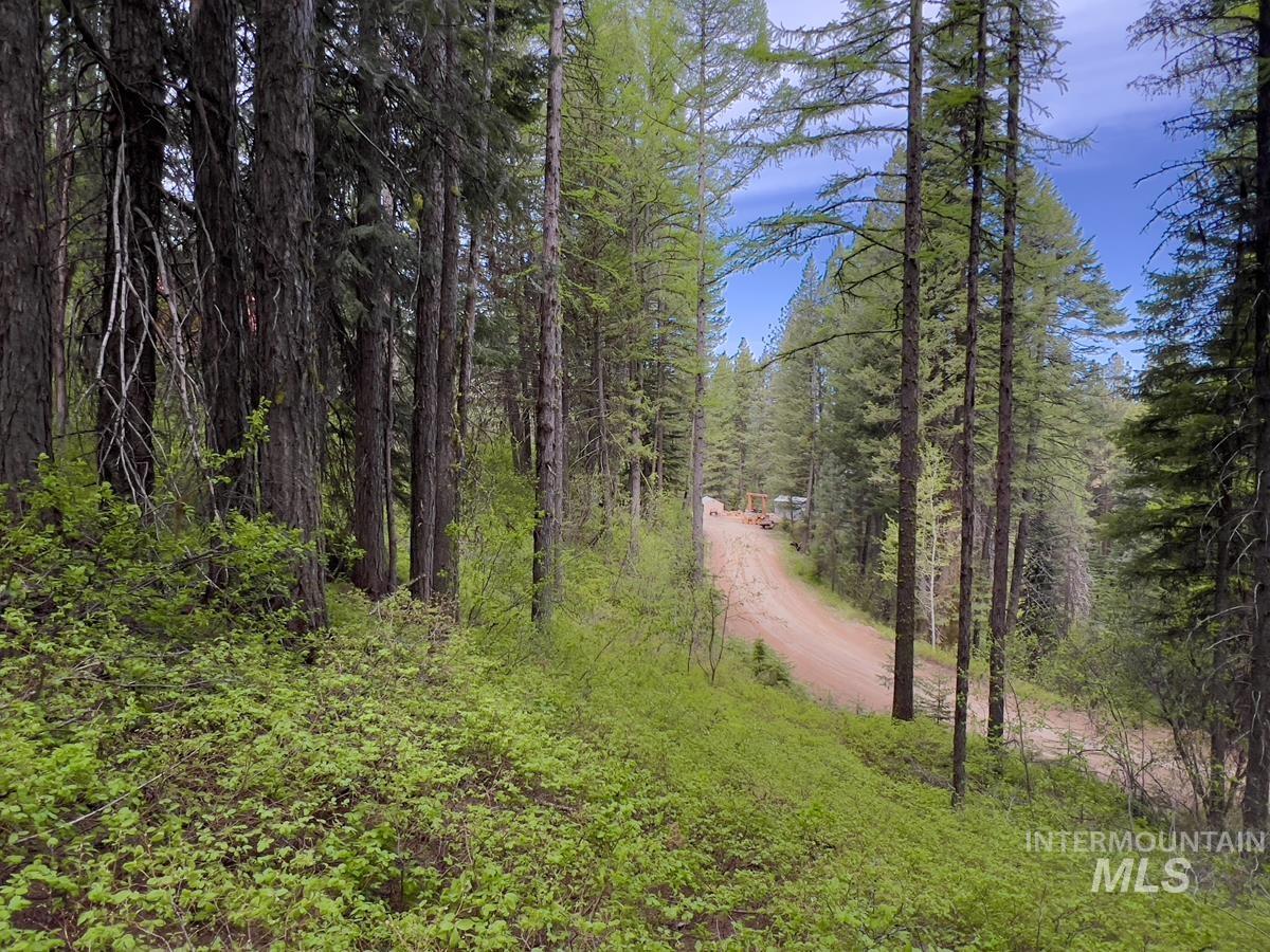 45 Landale Lane, Cascade, Idaho 83611, Land For Sale, Price $75,000,MLS 98984956