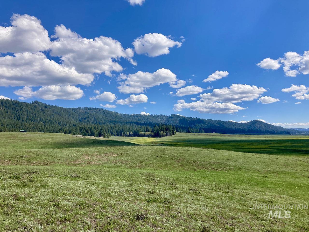 10885 Callender Road, Cascade, Idaho 83611, 2 Bedrooms, 3 Bathrooms, Residential For Sale, Price $1,100,000,MLS 98984965