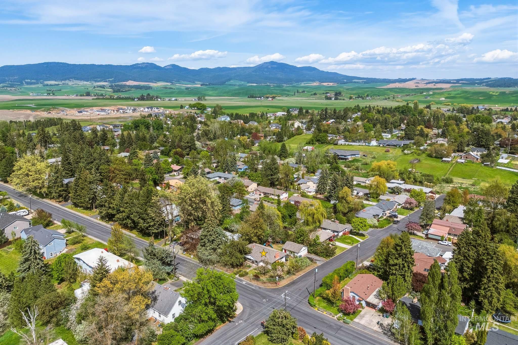 906 Orchard Ave., Moscow, Idaho 83843, 5 Bedrooms, 2 Bathrooms, Residential For Sale, Price $535,000,MLS 98984972