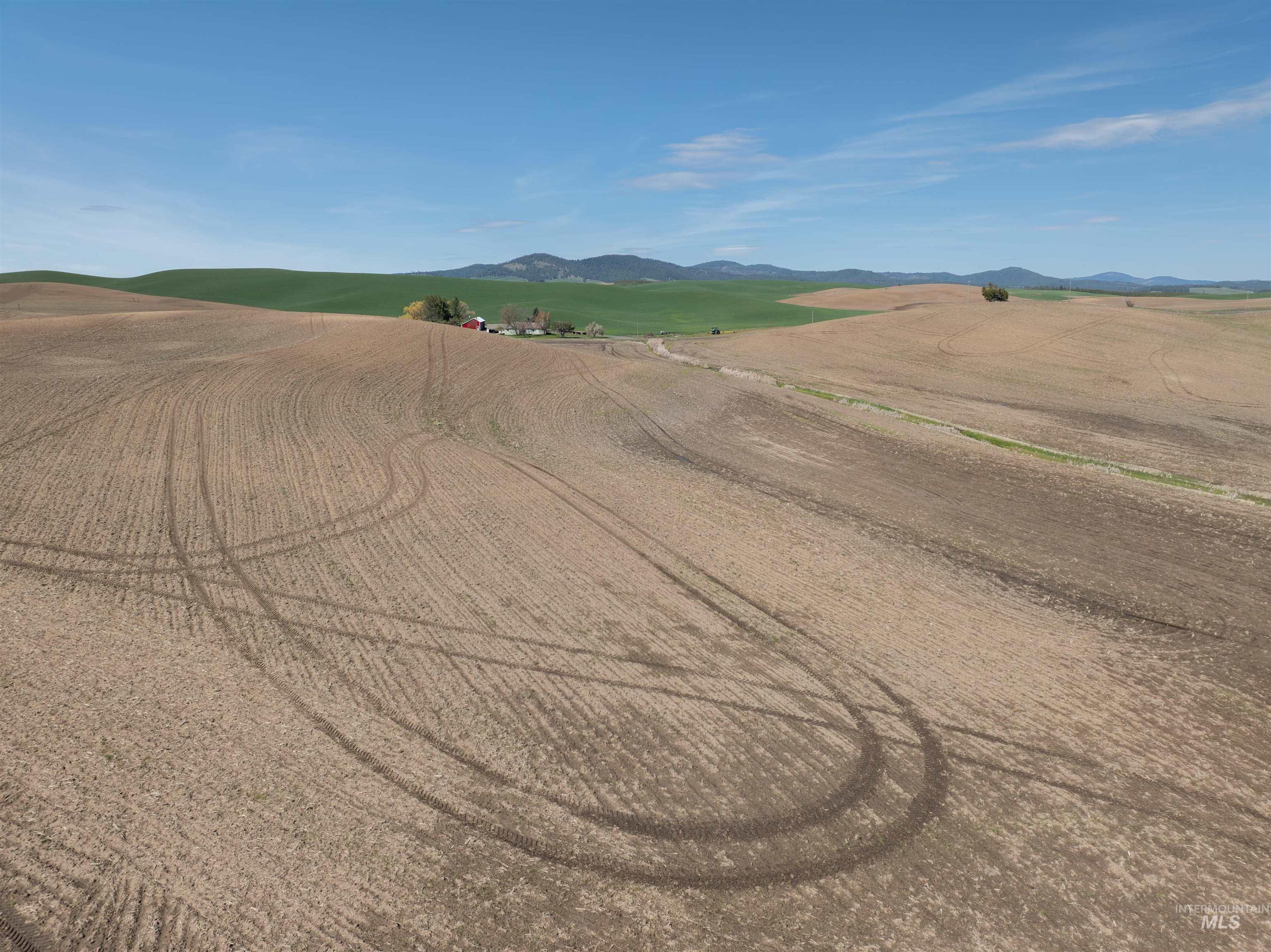 TBD Scoville Rd, +/- 25 AC, Potlatch, Idaho 83855, Land For Sale, Price $350,000,MLS 98985019