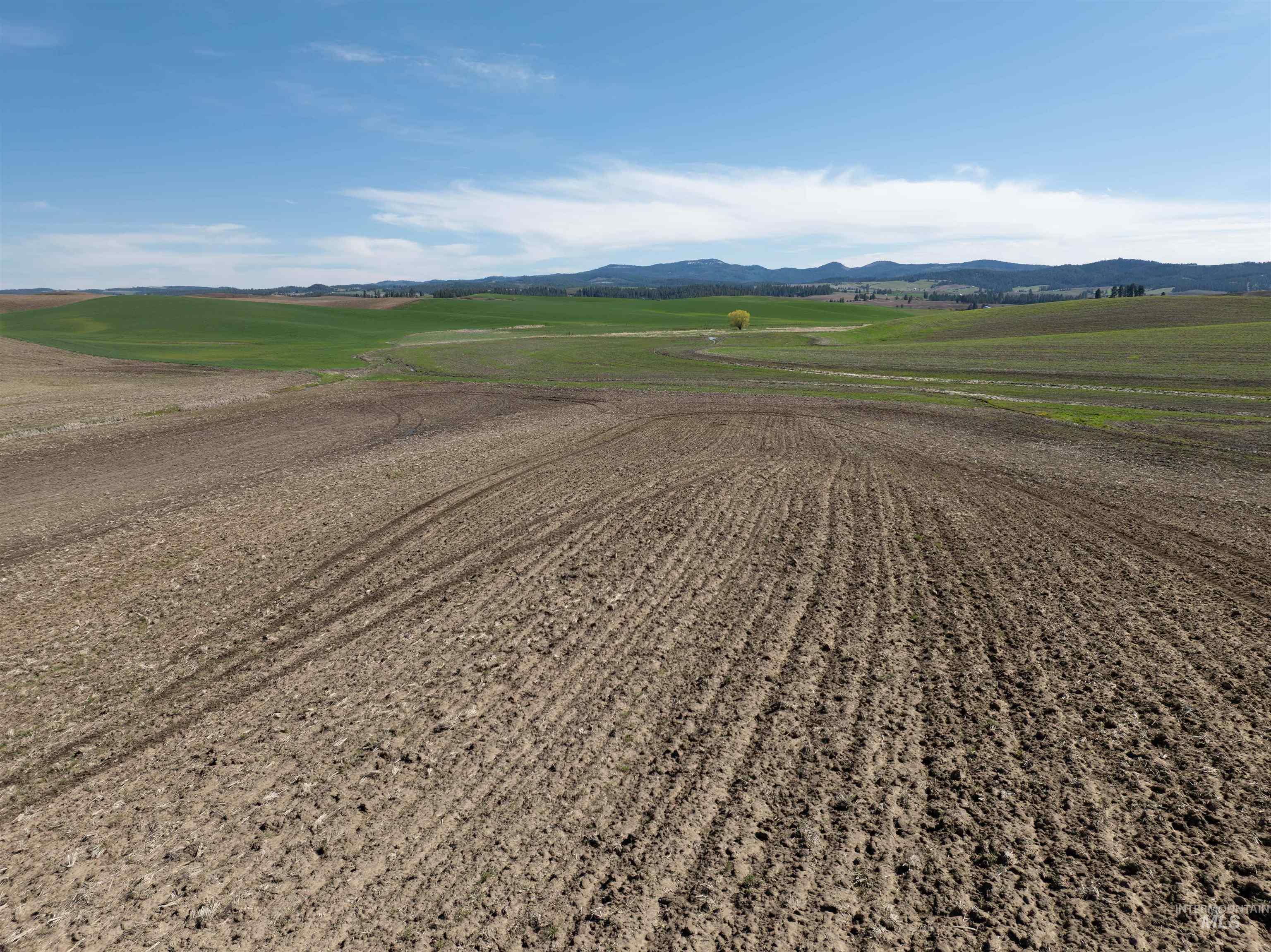 TBD Scoville Rd, +/- 25 AC, Potlatch, Idaho 83855, Land For Sale, Price $350,000,MLS 98985019