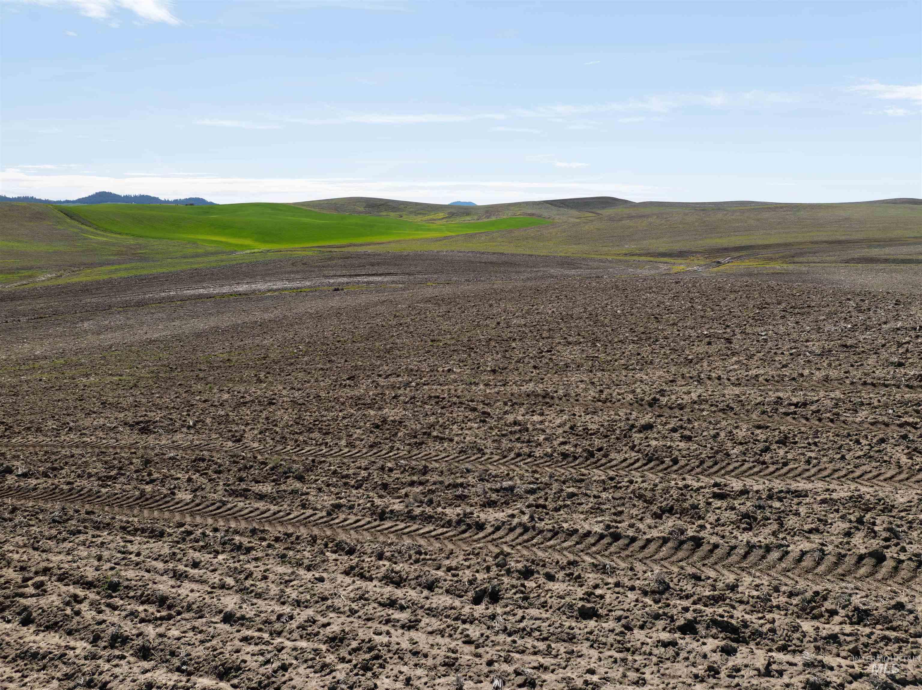 TBD Scoville Rd, +/- 25 AC, Potlatch, Idaho 83855, Land For Sale, Price $350,000,MLS 98985019