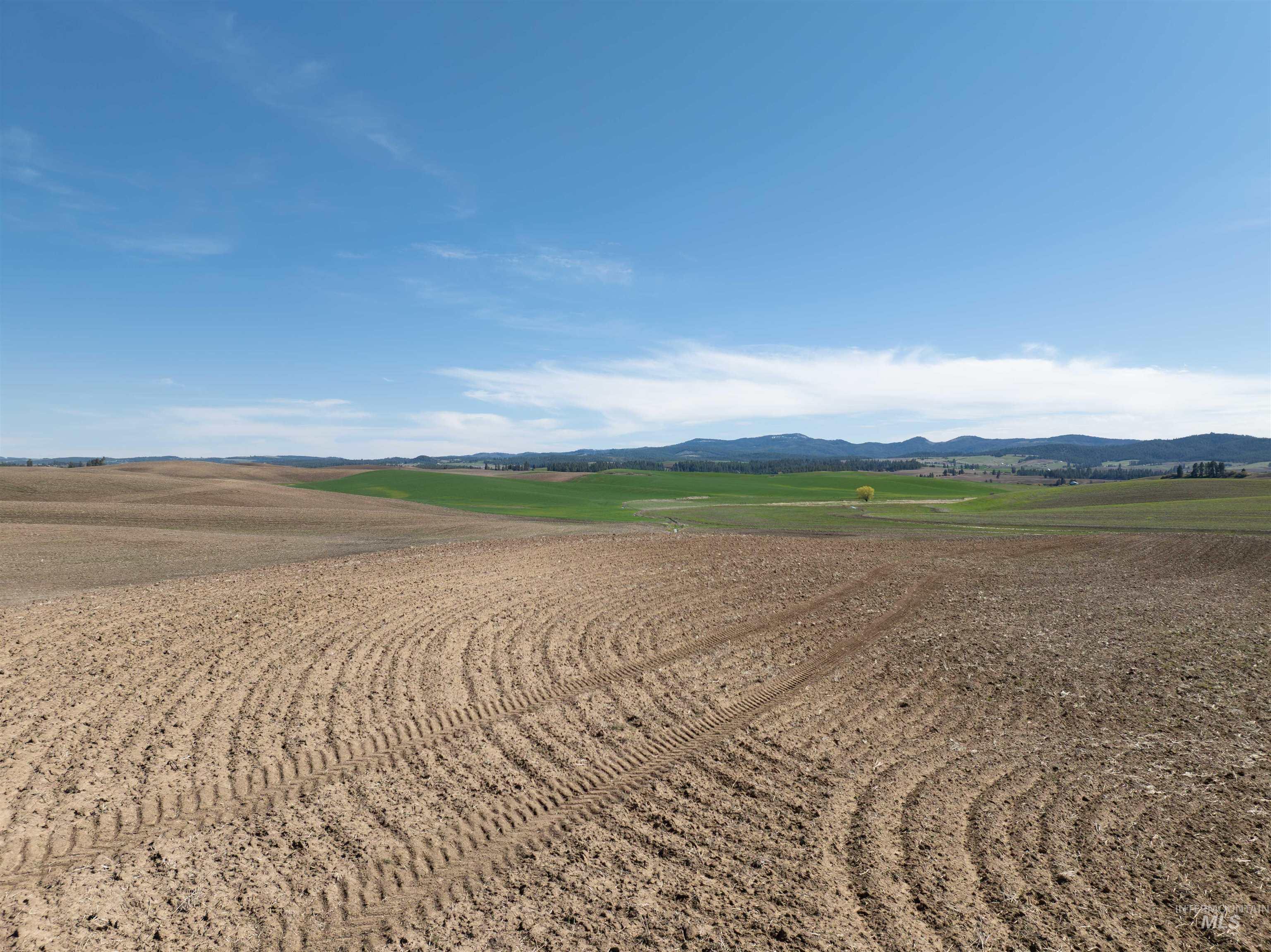 TBD Scoville Rd, +/- 25 AC, Potlatch, Idaho 83855, Land For Sale, Price $350,000,MLS 98985019