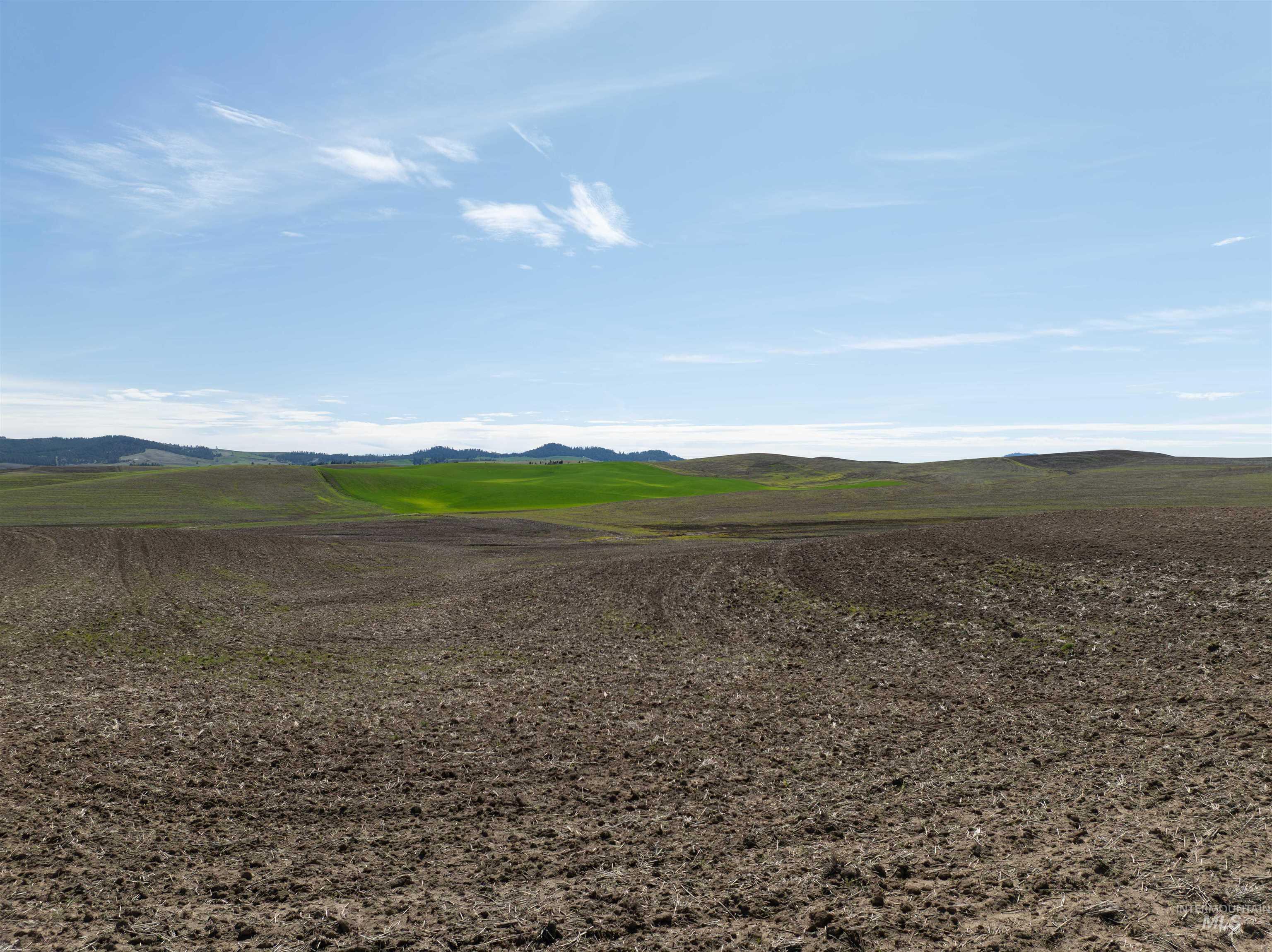 TBD Scoville Rd, +/- 25 AC, Potlatch, Idaho 83855, Land For Sale, Price $350,000,MLS 98985019