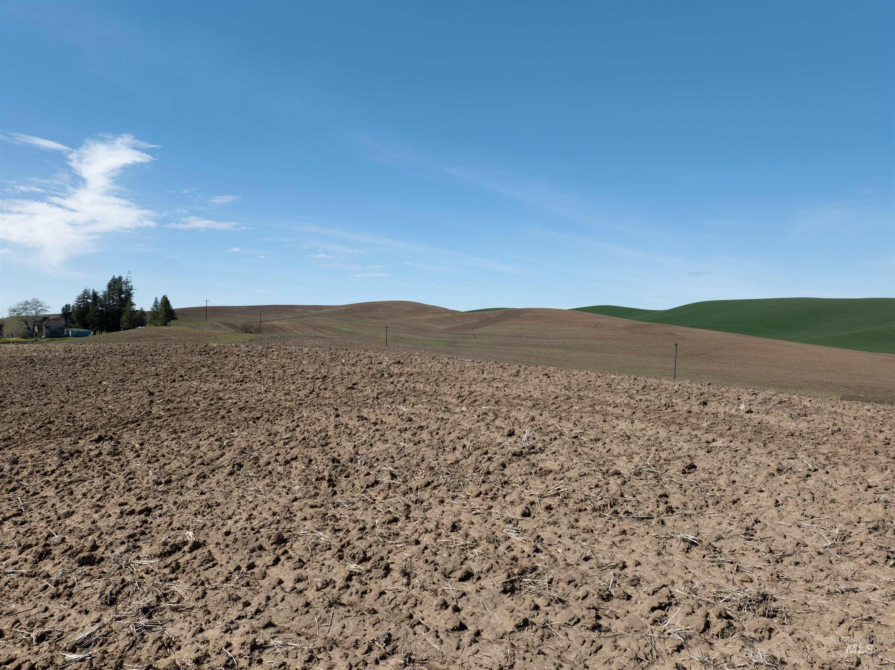 TBD Scoville Rd, +/- 25 AC, Potlatch, Idaho 83855, Land For Sale, Price $350,000,MLS 98985019