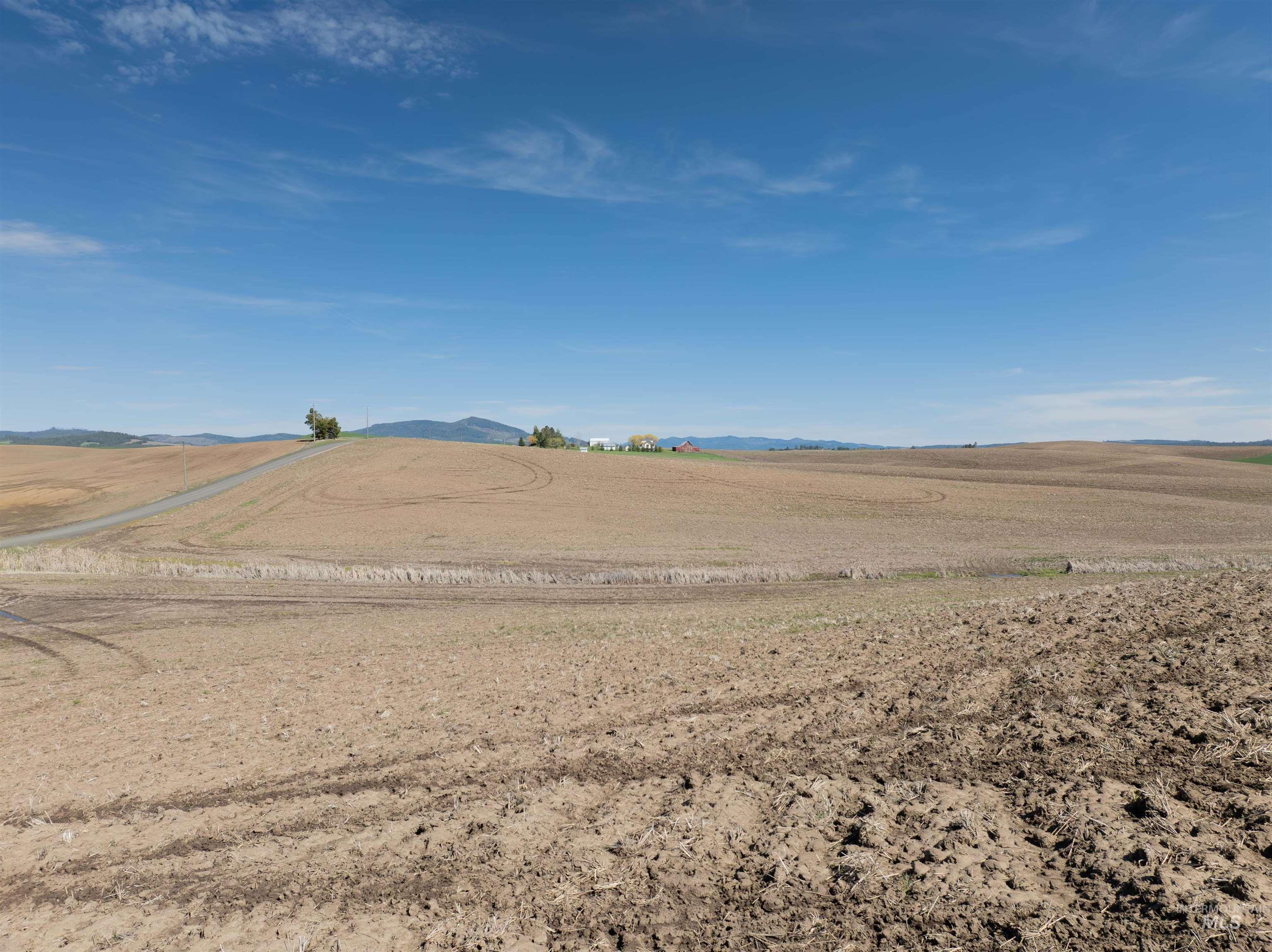 TBD Scoville Rd, +/- 25 AC, Potlatch, Idaho 83855, Land For Sale, Price $350,000,MLS 98985019