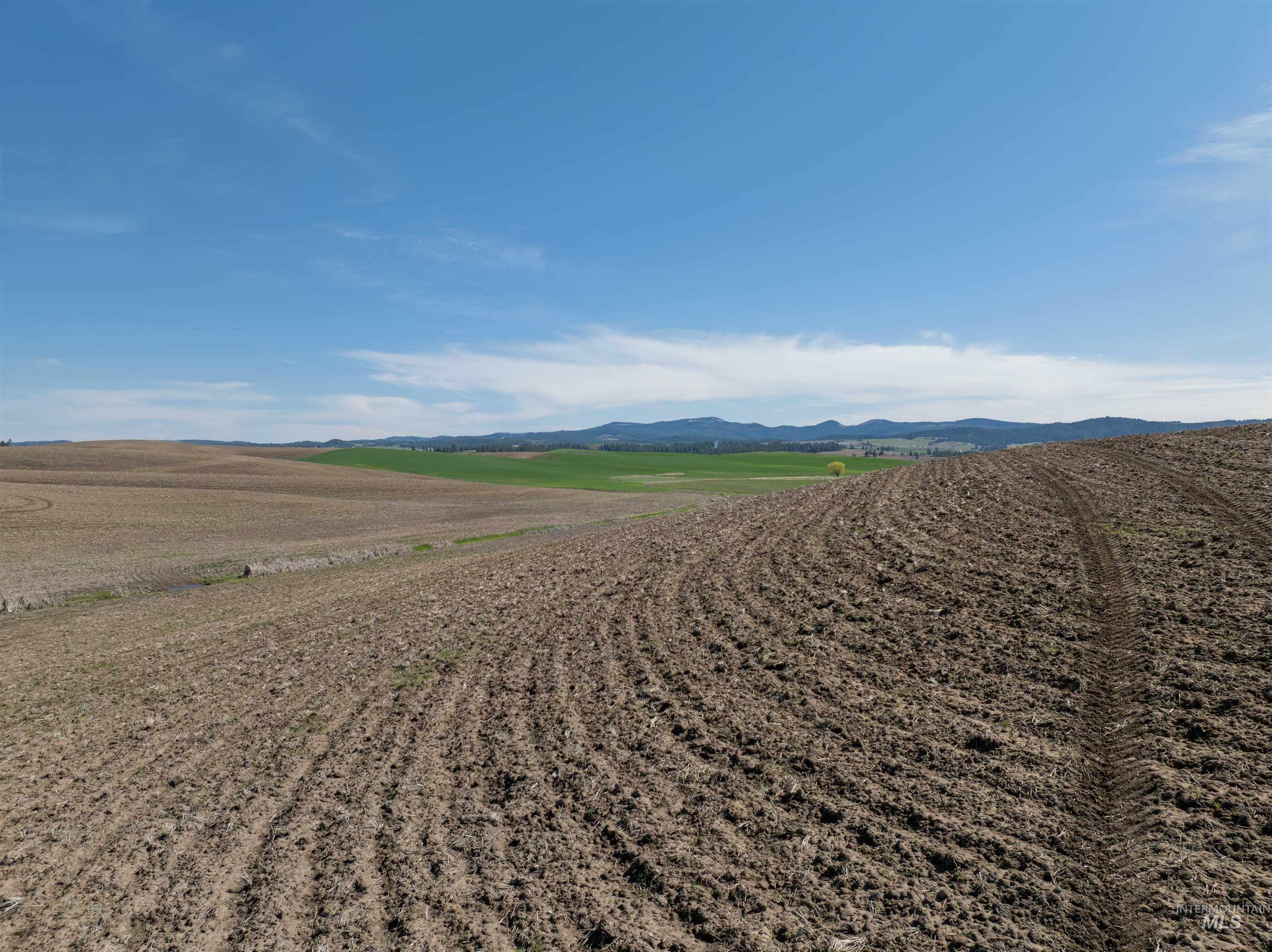 TBD Scoville Rd, +/- 25 AC, Potlatch, Idaho 83855, Land For Sale, Price $350,000,MLS 98985019