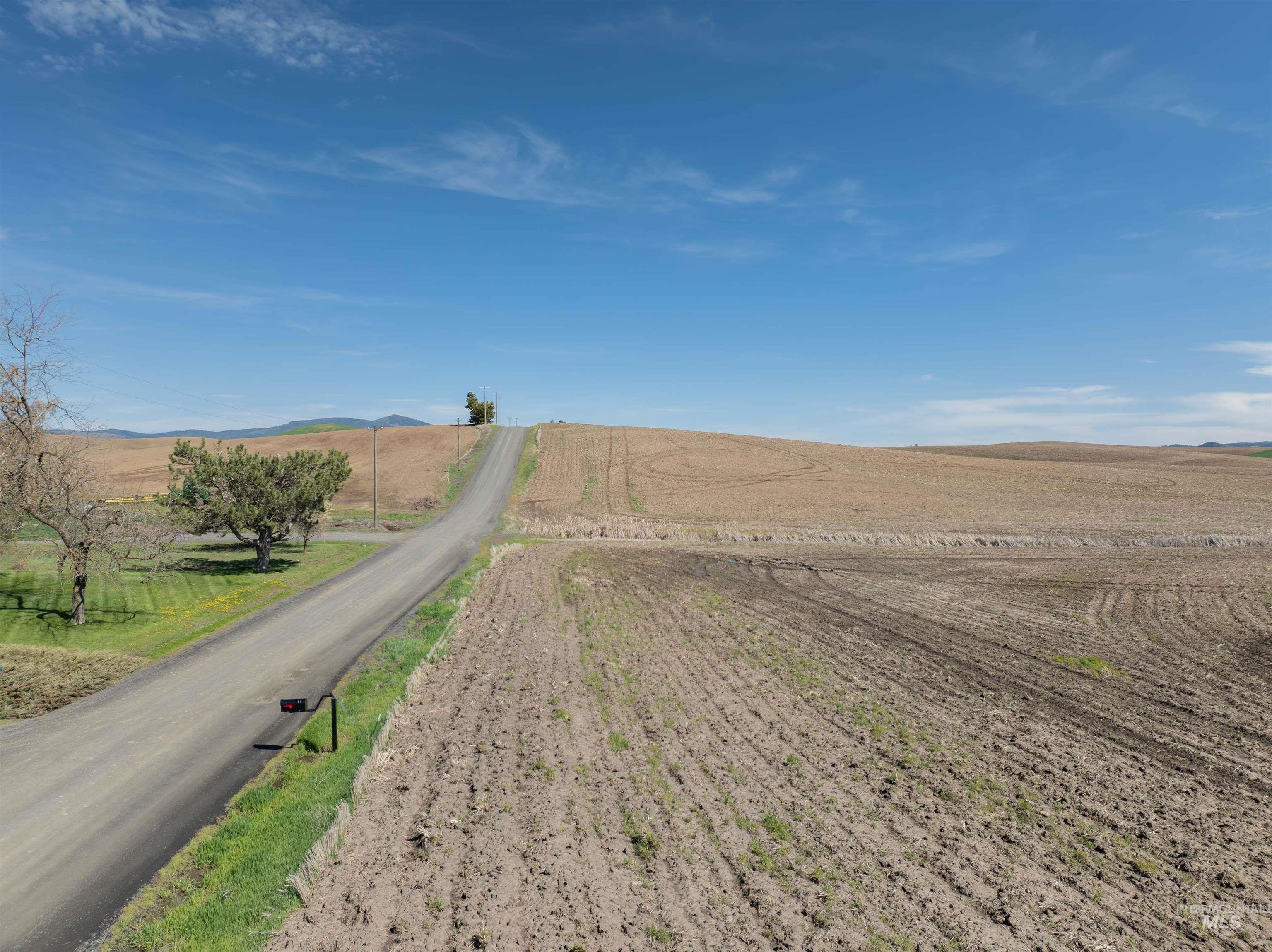 TBD Scoville Rd, +/- 25 AC, Potlatch, Idaho 83855, Land For Sale, Price $350,000,MLS 98985019