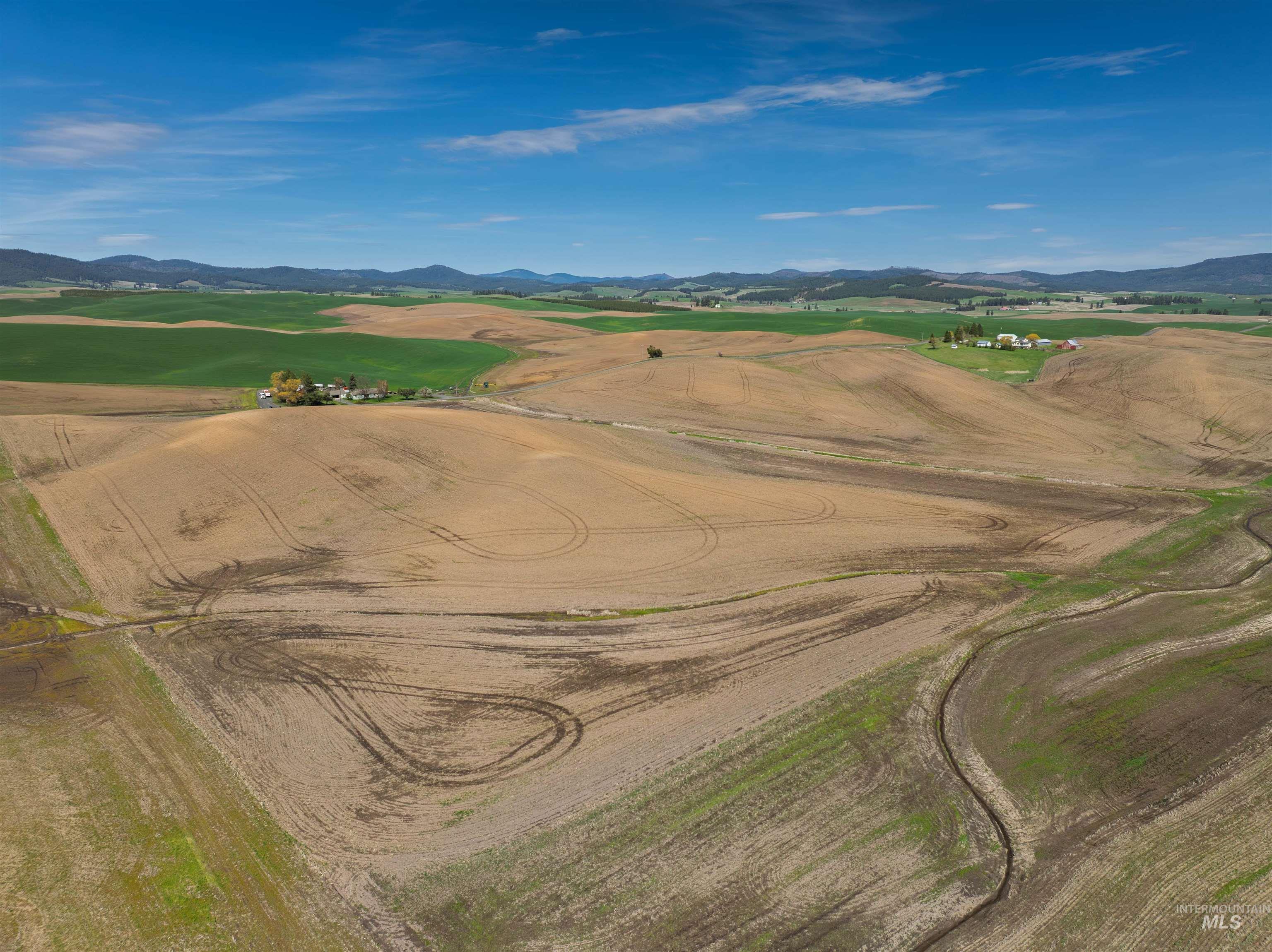 TBD Scoville Rd, +/- 25 AC, Potlatch, Idaho 83855, Land For Sale, Price $350,000,MLS 98985019