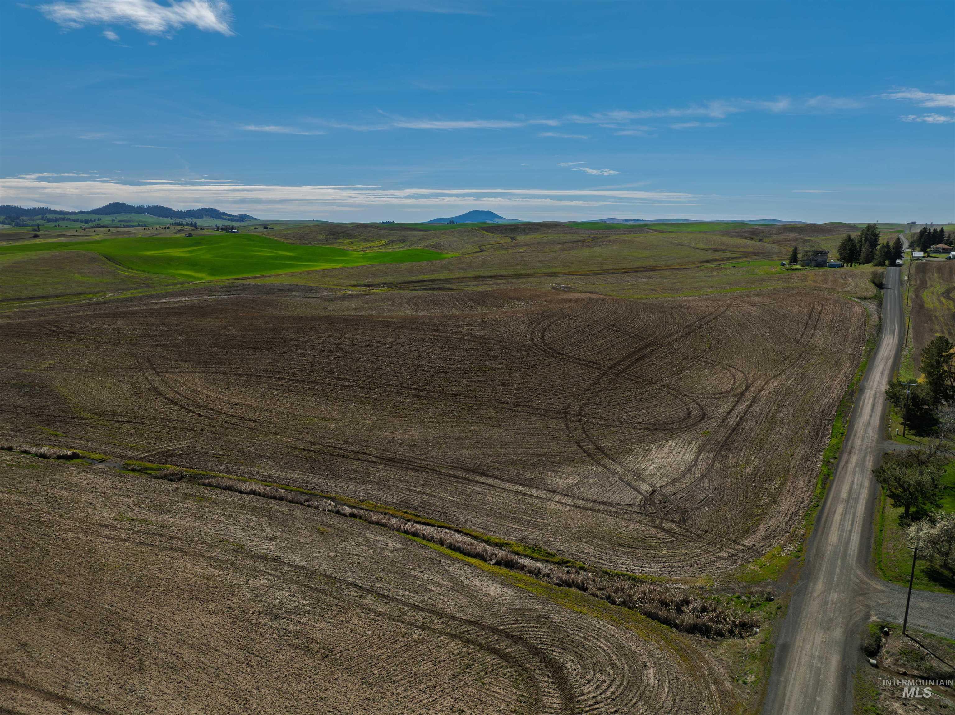 TBD Scoville Rd, +/- 25 AC, Potlatch, Idaho 83855, Land For Sale, Price $350,000,MLS 98985019