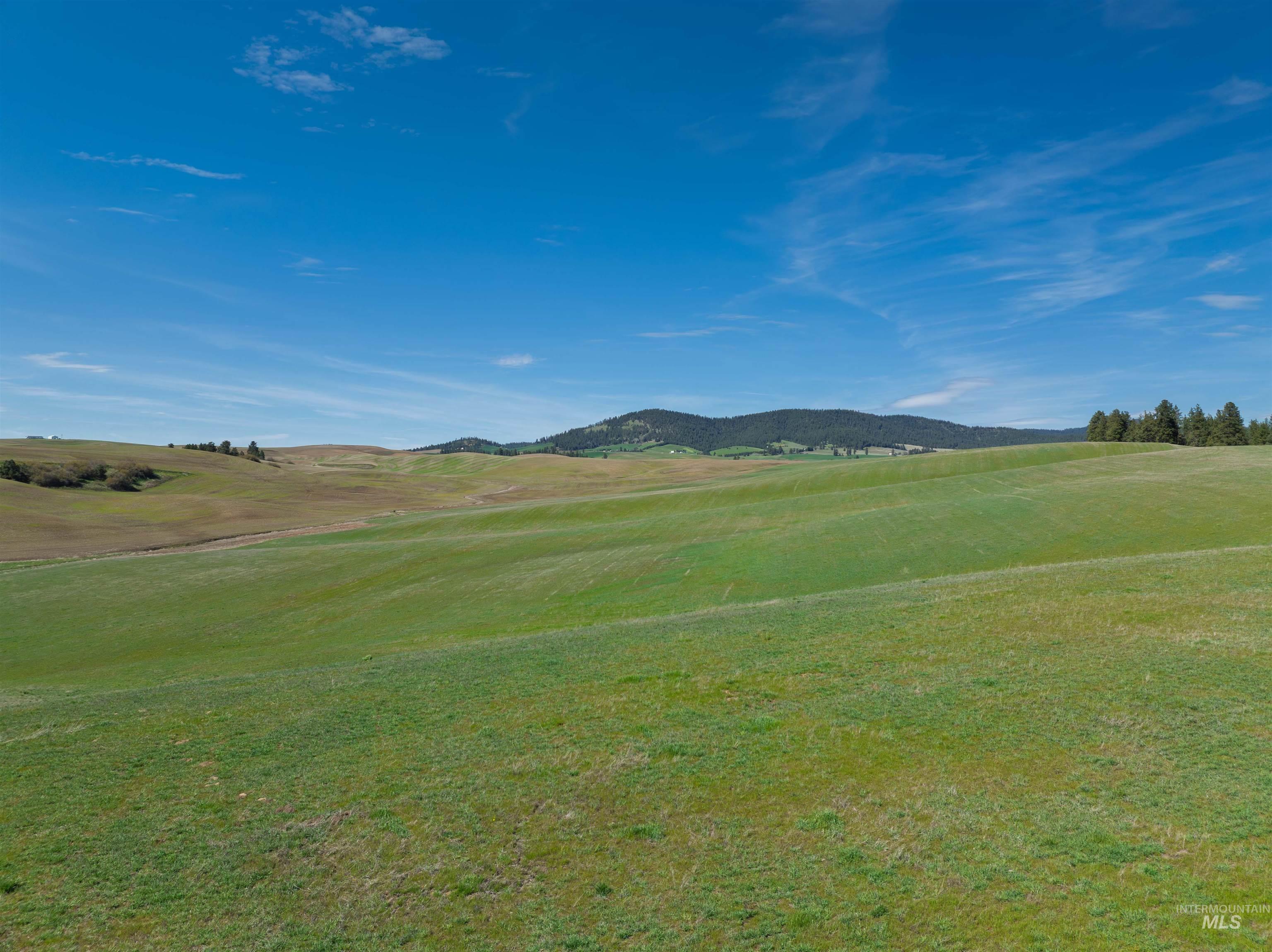 TBD Garfield Rd, +/- 25 AC, Potlatch, Idaho 83855, Land For Sale, Price $363,000,MLS 98985020