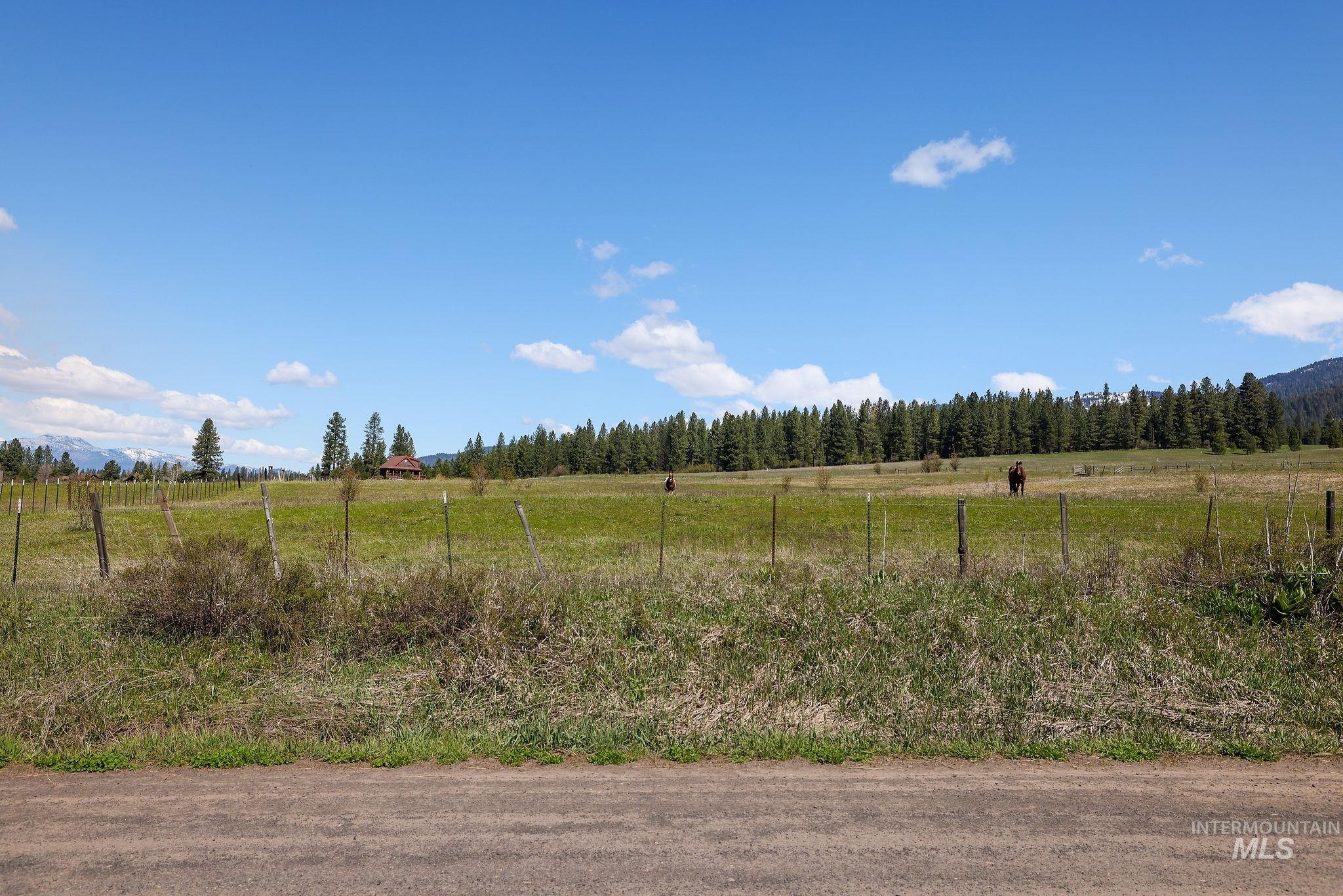 TBD Wallace, New Meadows, Idaho 83654, Land For Sale, Price $375,000,MLS 98985075