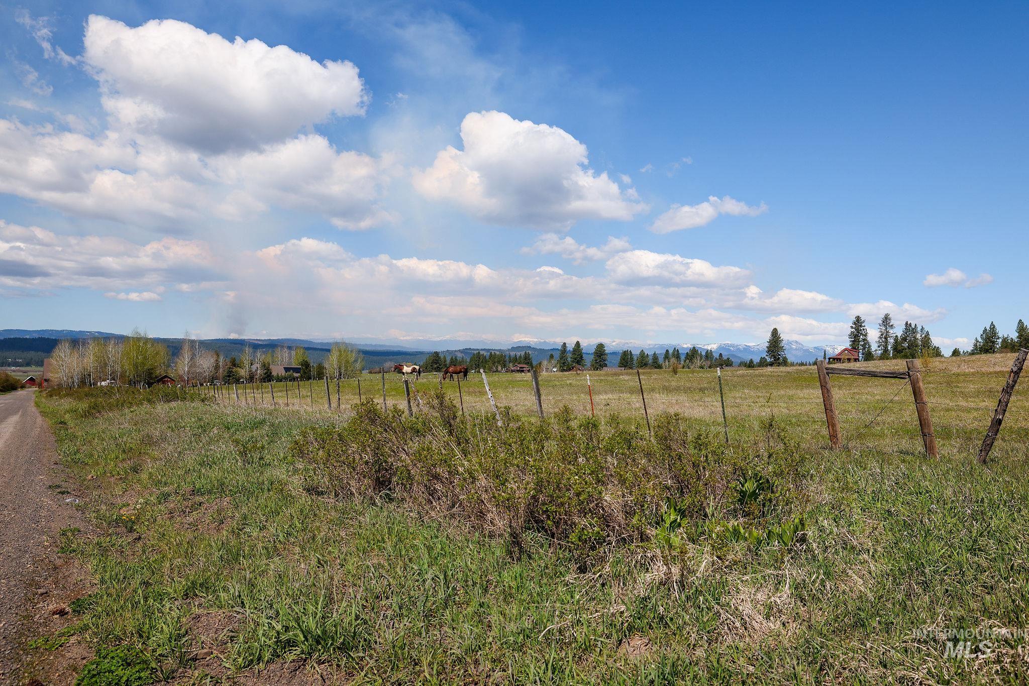 TBD Wallace, New Meadows, Idaho 83654, Land For Sale, Price $375,000,MLS 98985075
