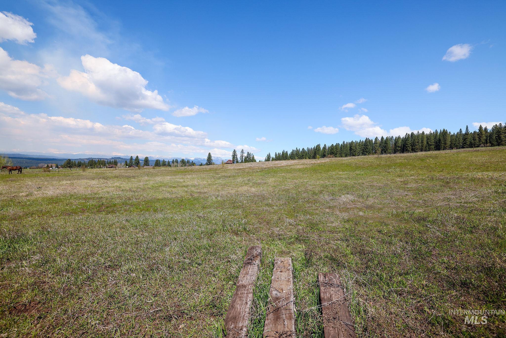 TBD Wallace, New Meadows, Idaho 83654, Land For Sale, Price $375,000,MLS 98985075