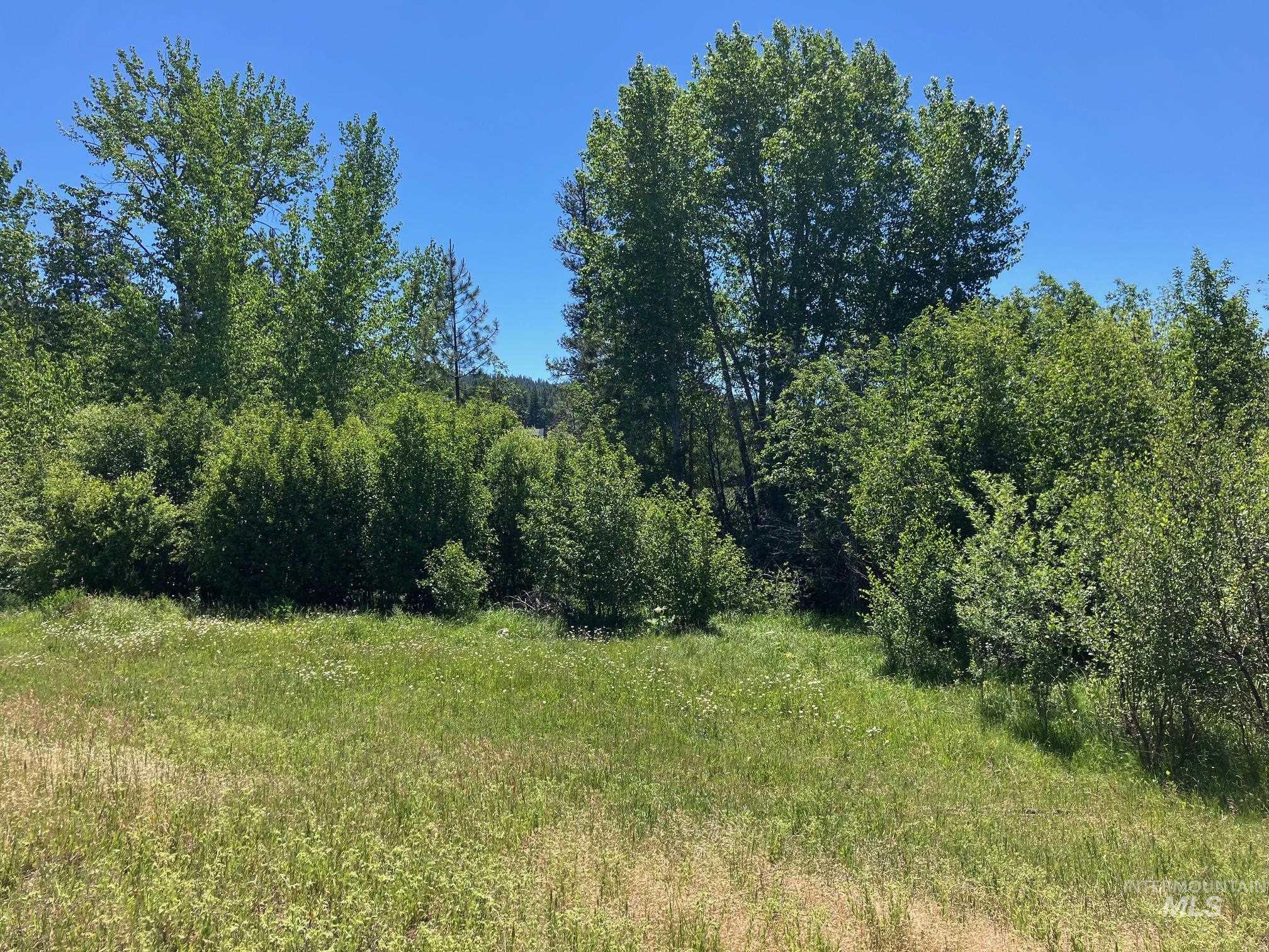 TBD Wallace, New Meadows, Idaho 83654, Land For Sale, Price $349,000, 98985075