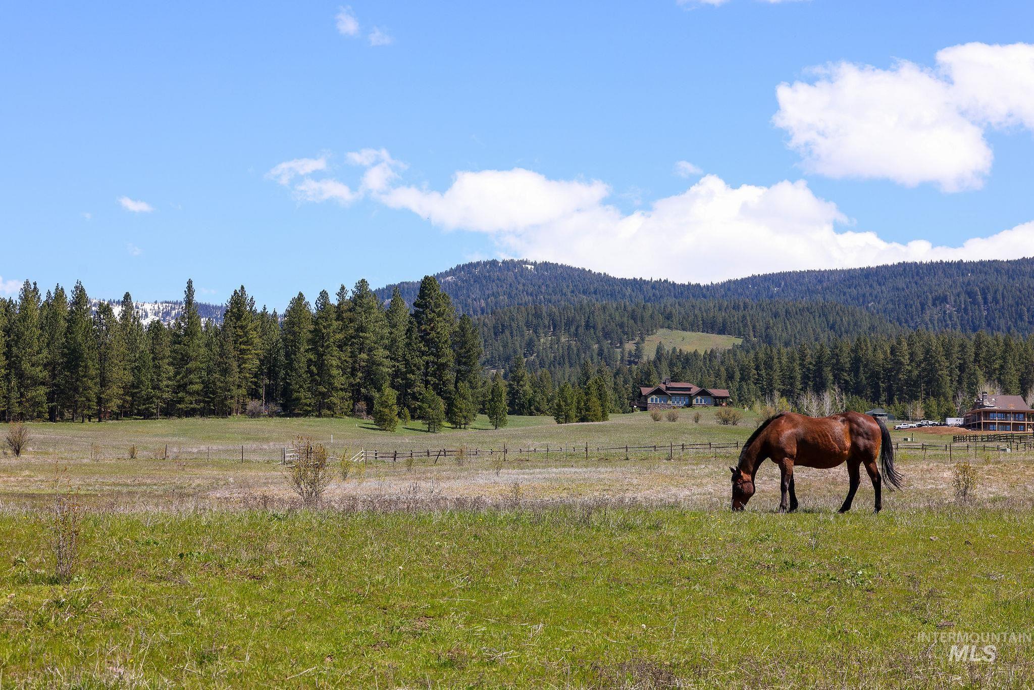 TBD Wallace, New Meadows, Idaho 83654, Land For Sale, Price $375,000,MLS 98985075