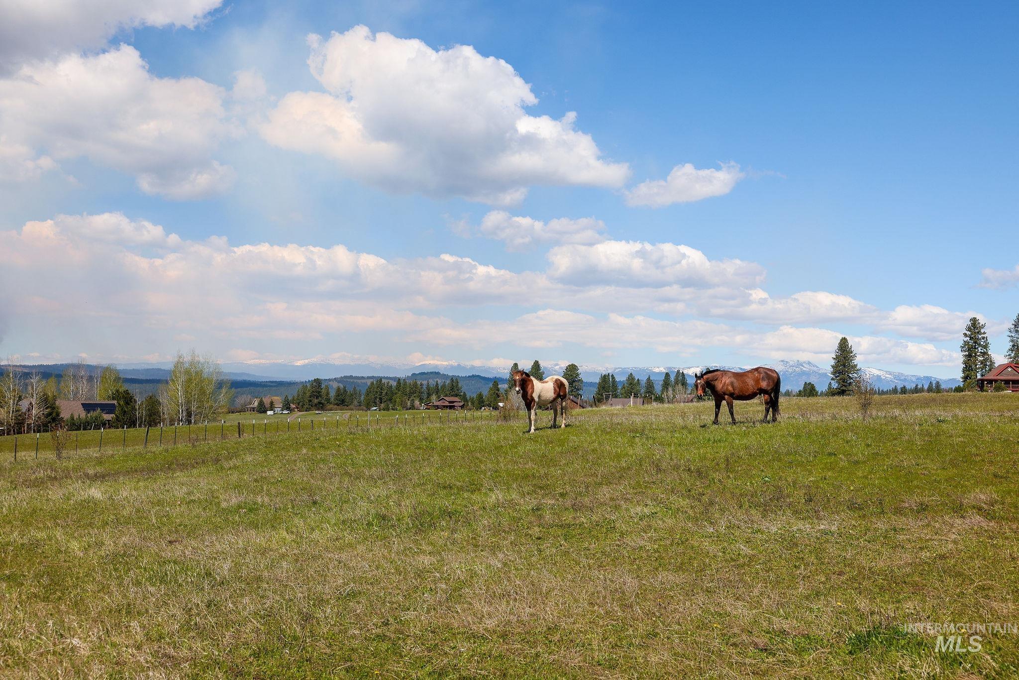 TBD Wallace, New Meadows, Idaho 83654, Land For Sale, Price $375,000,MLS 98985075