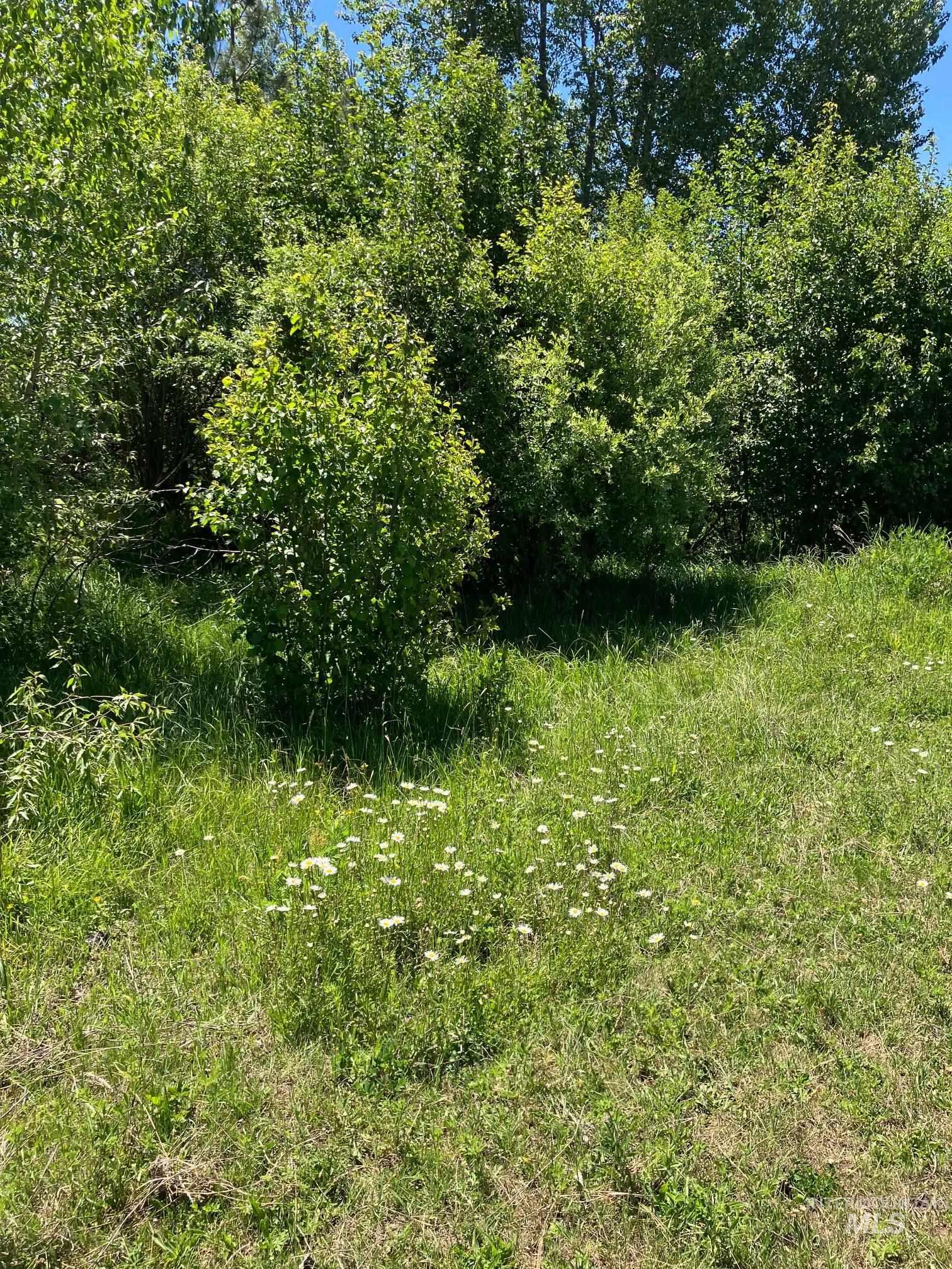 TBD Wallace, New Meadows, Idaho 83654, Land For Sale, Price $349,000, 98985075