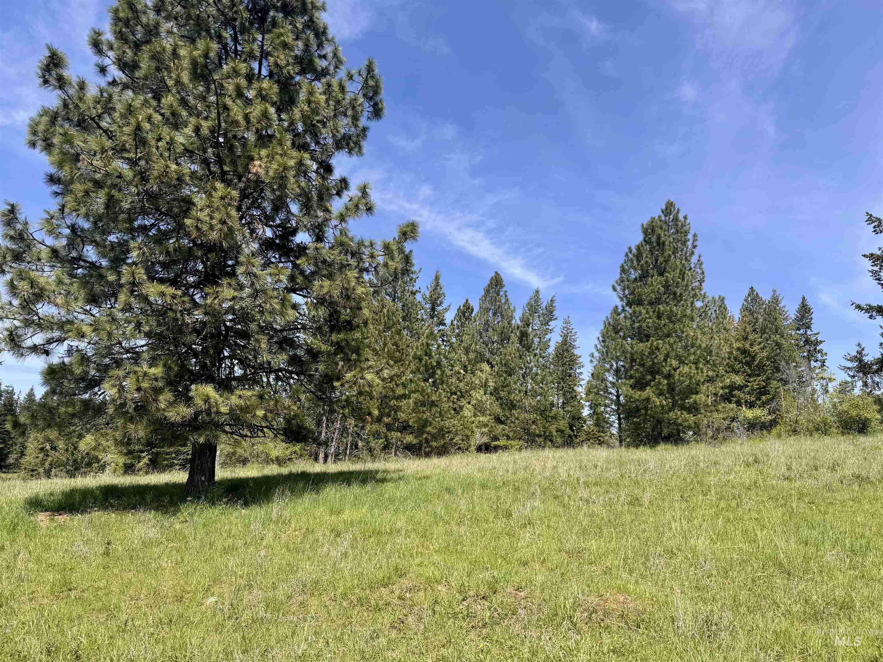 TBD HARRIS RIDGE RD - PARCEL 4, Kooskia, Idaho 83539, Land For Sale, Price $165,000,MLS 98985078