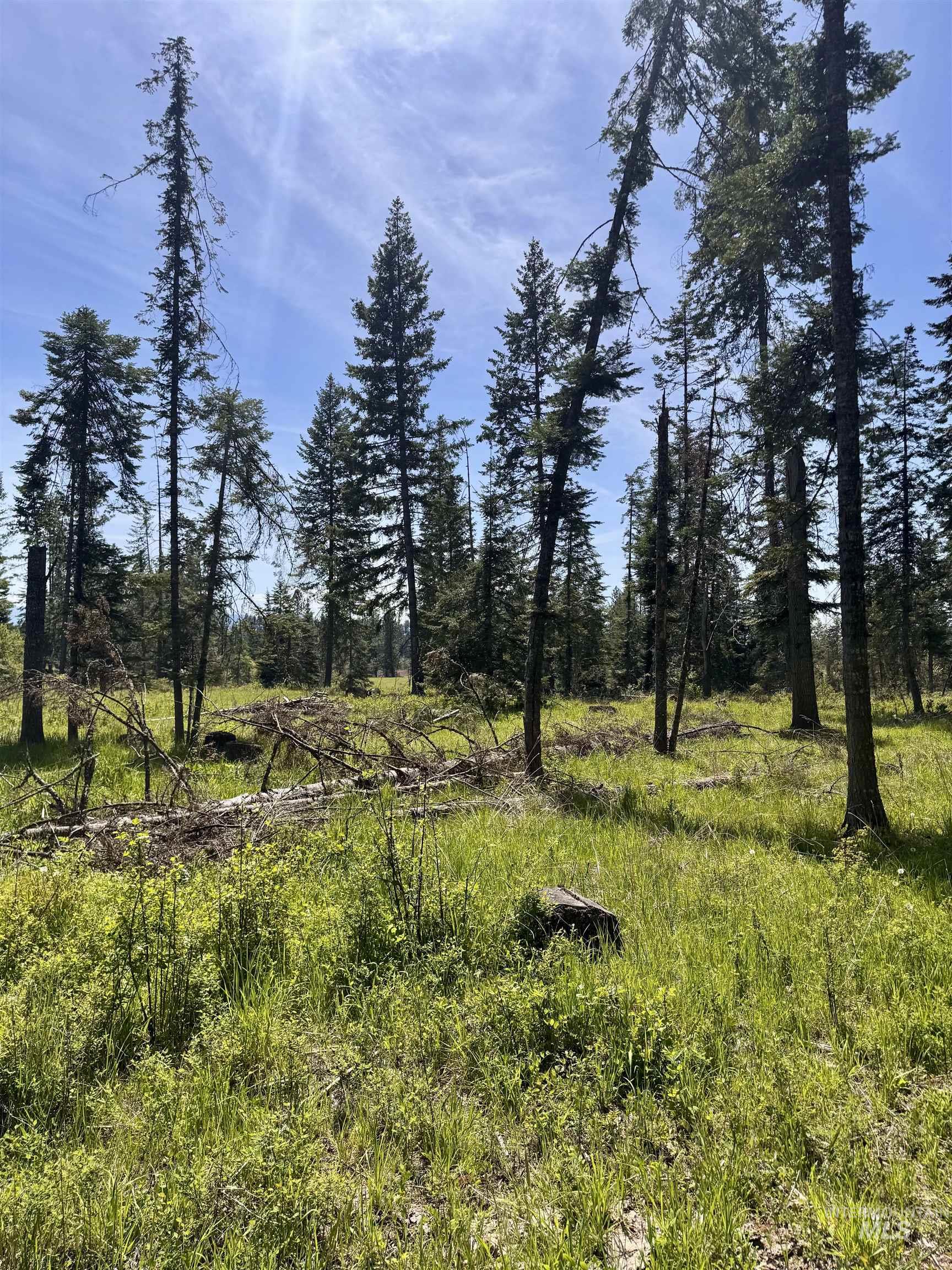 TBD HARRIS RIDGE RD - PARCEL 4, Kooskia, Idaho 83539, Land For Sale, Price $165,000,MLS 98985078