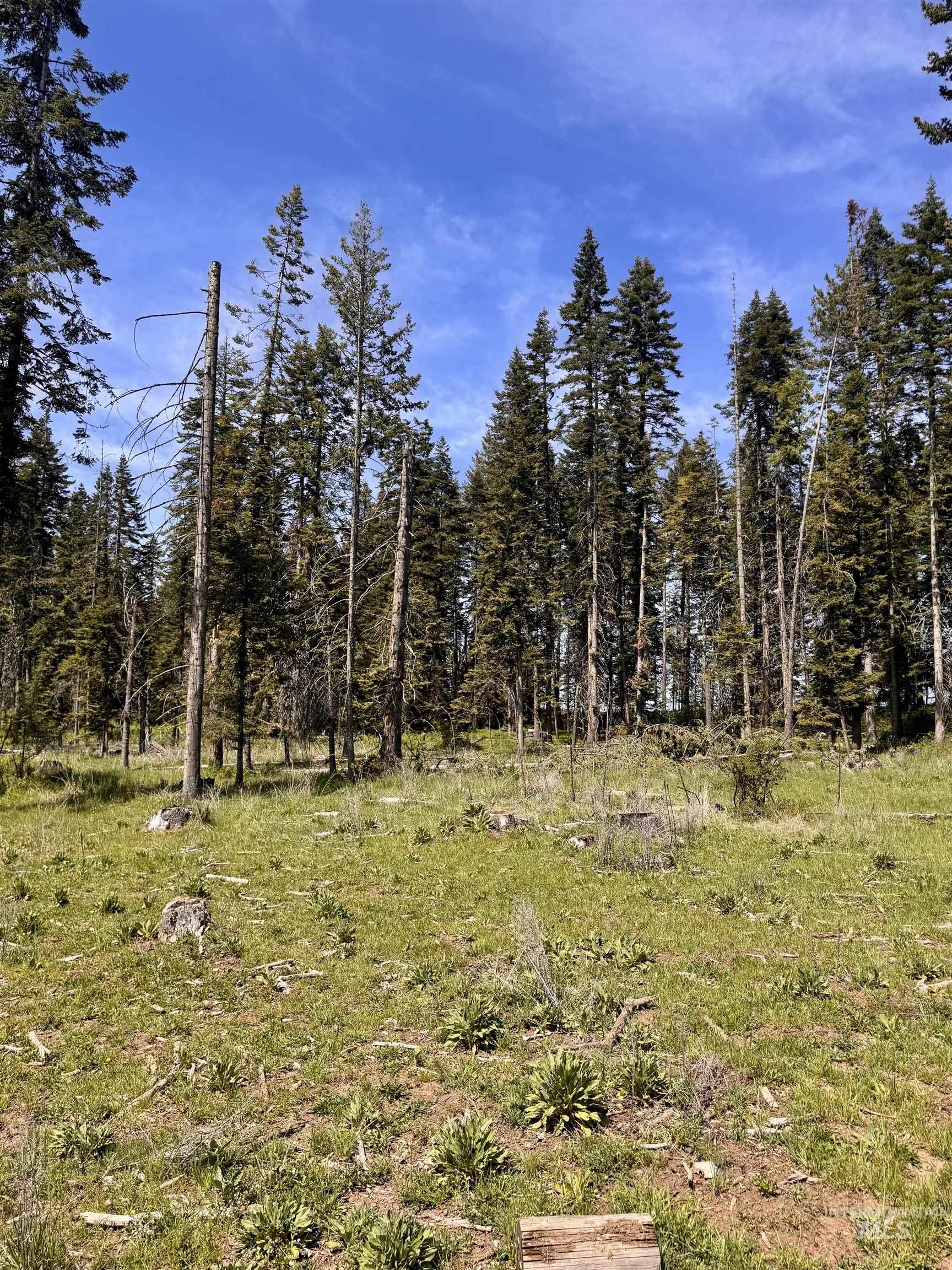 TBD HARRIS RIDGE RD - PARCEL 4, Kooskia, Idaho 83539, Land For Sale, Price $165,000,MLS 98985078