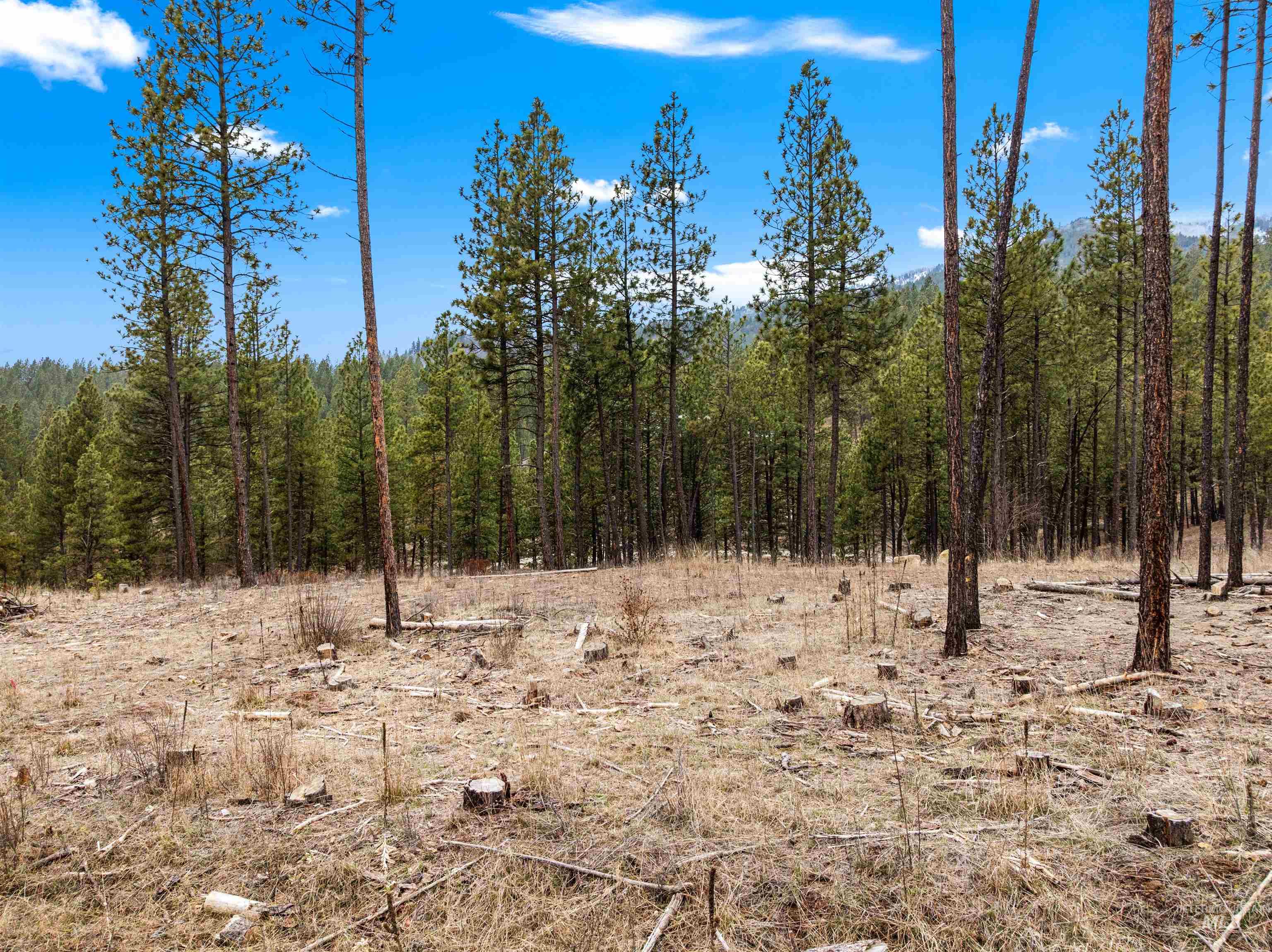 TBD Lot 7 Pine Grove, Garden Valley, Idaho 83622, Land For Sale, Price $269,000,MLS 98985132