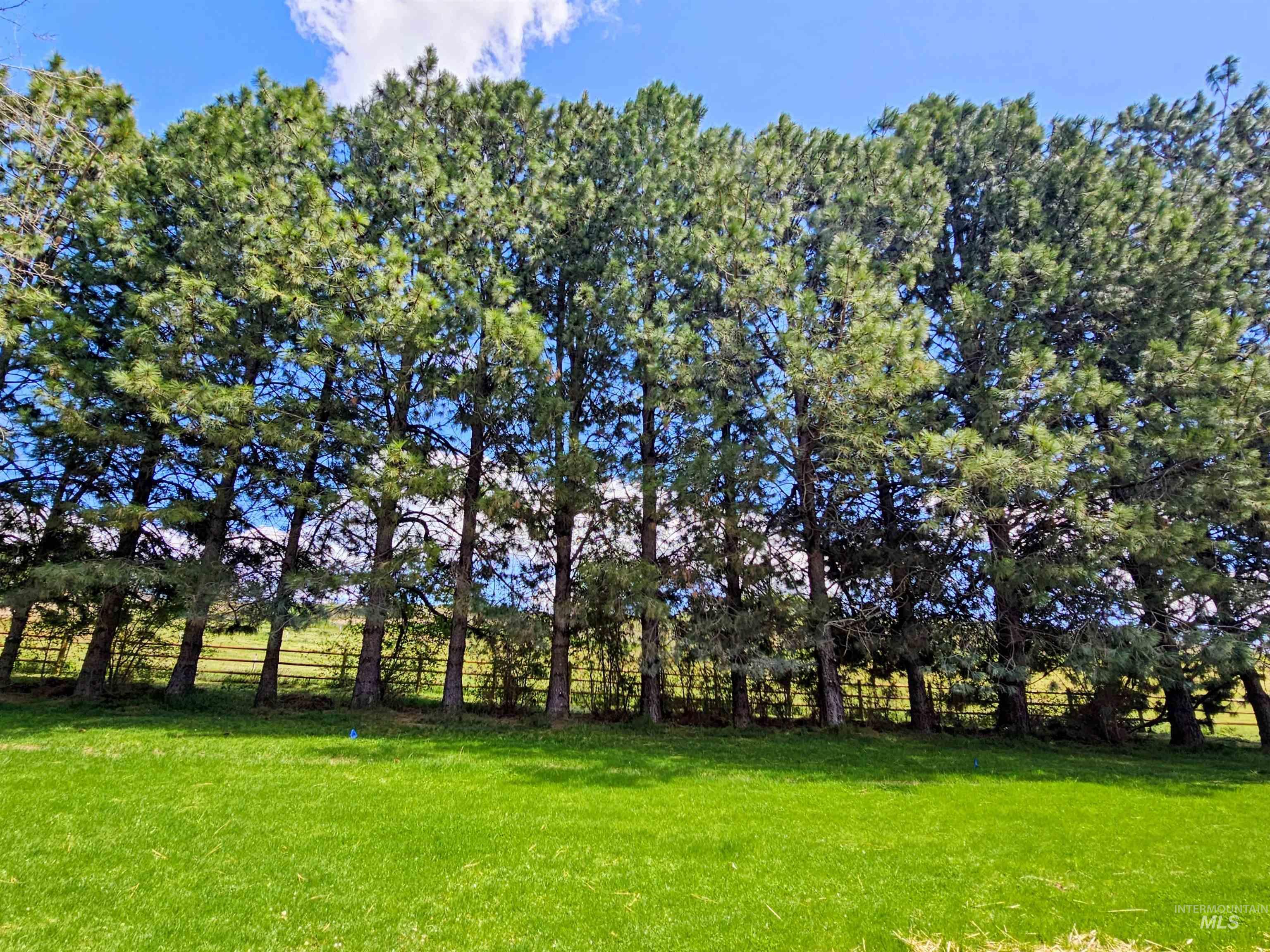 3748 Apache Rd, New Plymouth, Idaho 83655, 4 Bedrooms, 2.5 Bathrooms, Residential For Sale, Price $995,000,MLS 98985136