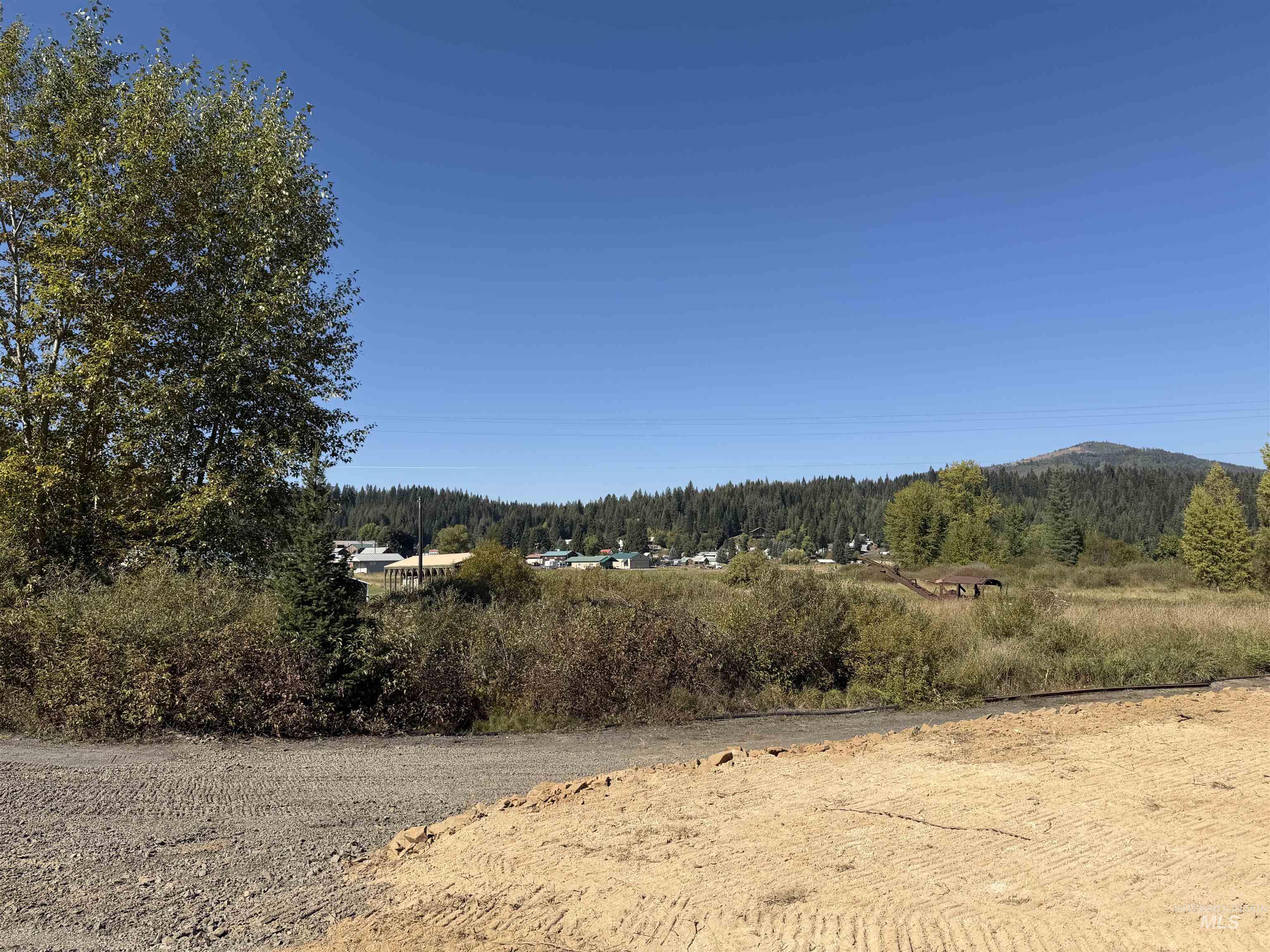 TBD Dent Bridge Rd. Lot 2, Elk River, Idaho 83827, Land For Sale, Price $150,000,MLS 98985140