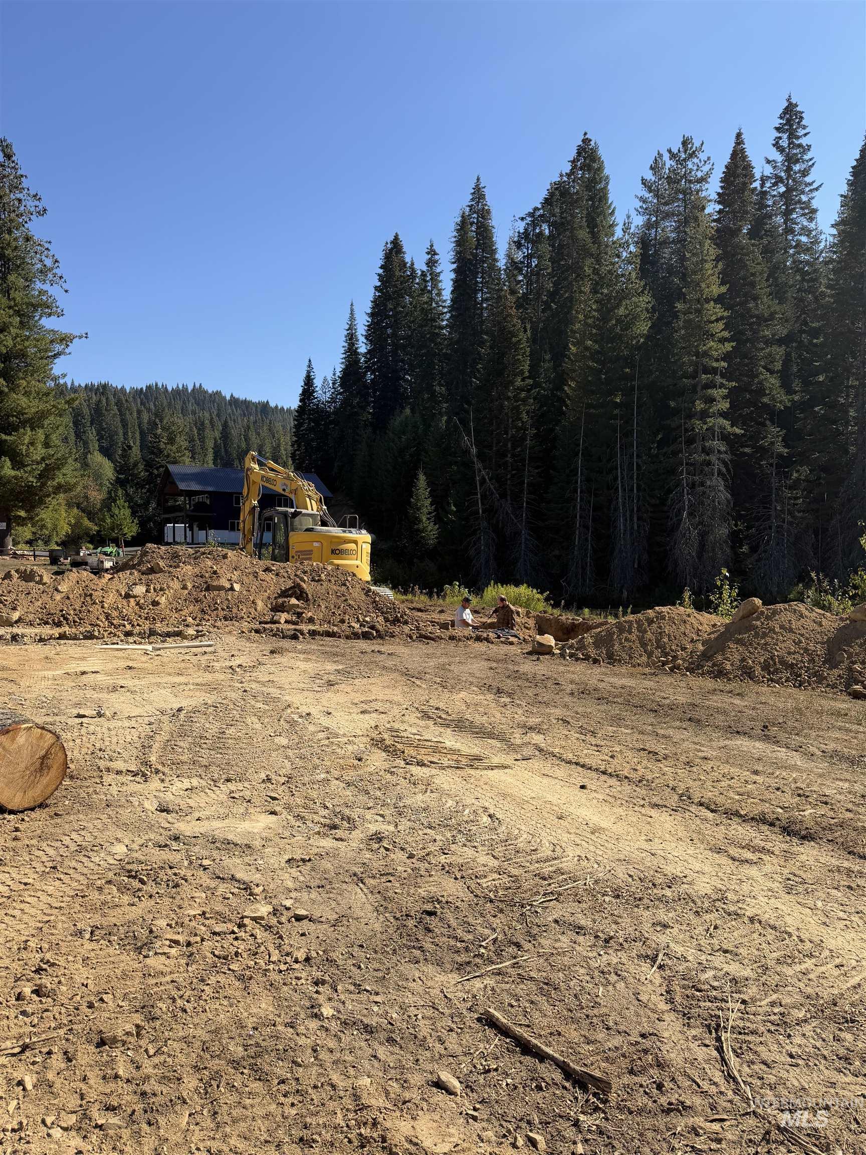 TBD Dent Bridge Rd. Lot 2, Elk River, Idaho 83827, Land For Sale, Price $150,000,MLS 98985140