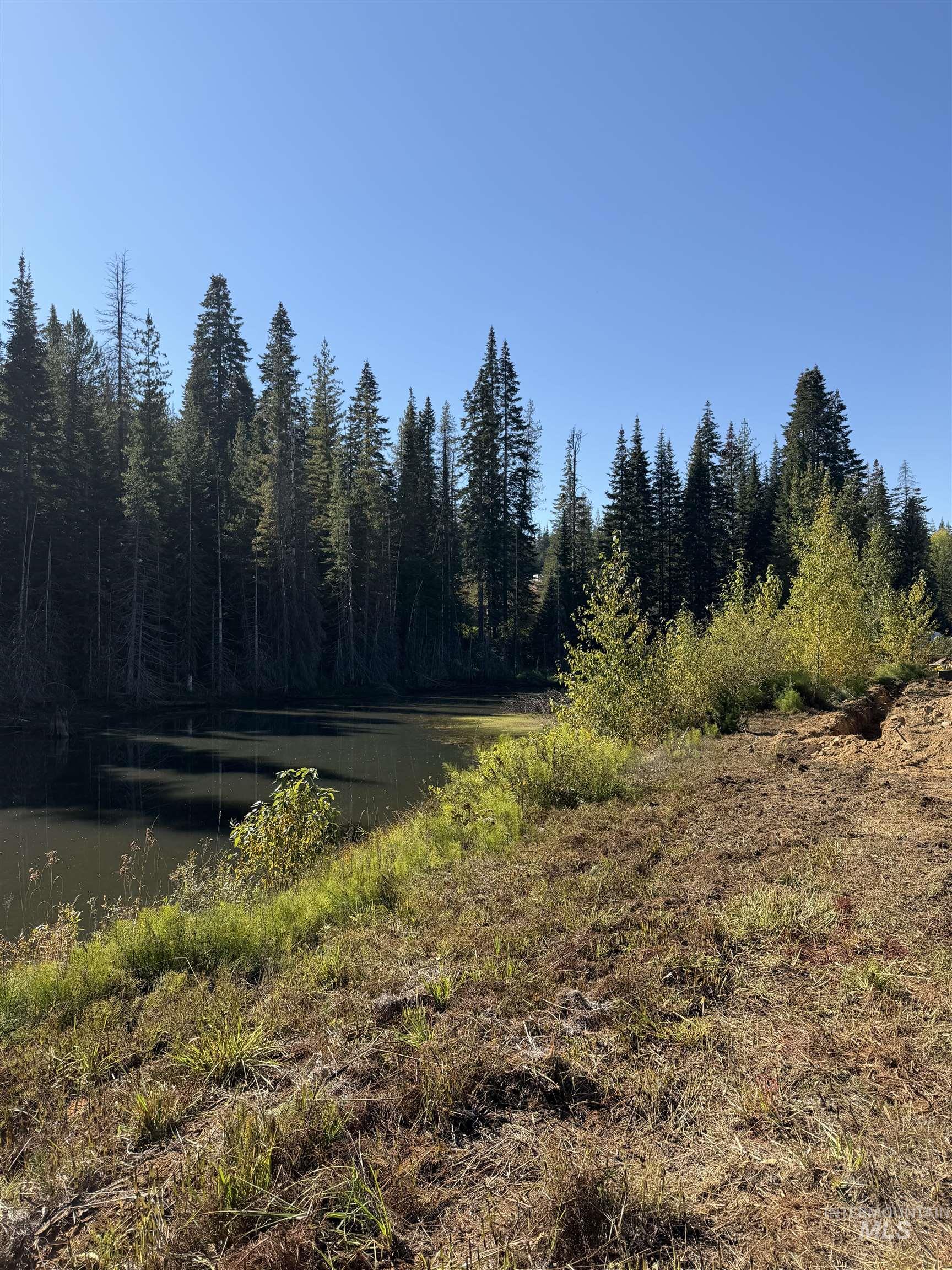 TBD Dent Bridge Rd. Lot 2, Elk River, Idaho 83827, Land For Sale, Price $150,000,MLS 98985140