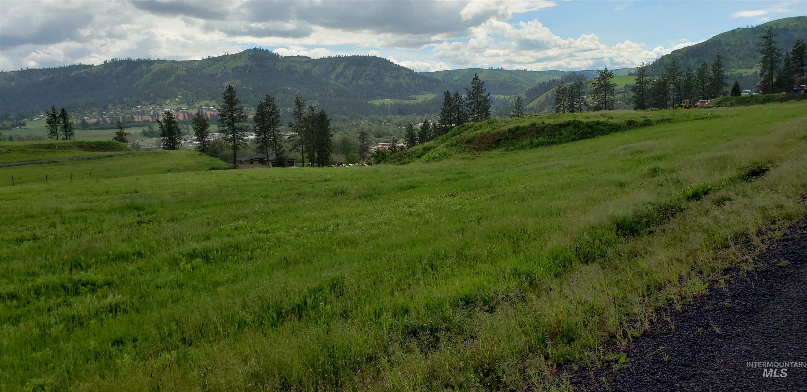 TBD River View Dr, Kamiah, Idaho 83536, Land For Sale, Price $129,000,MLS 98985186