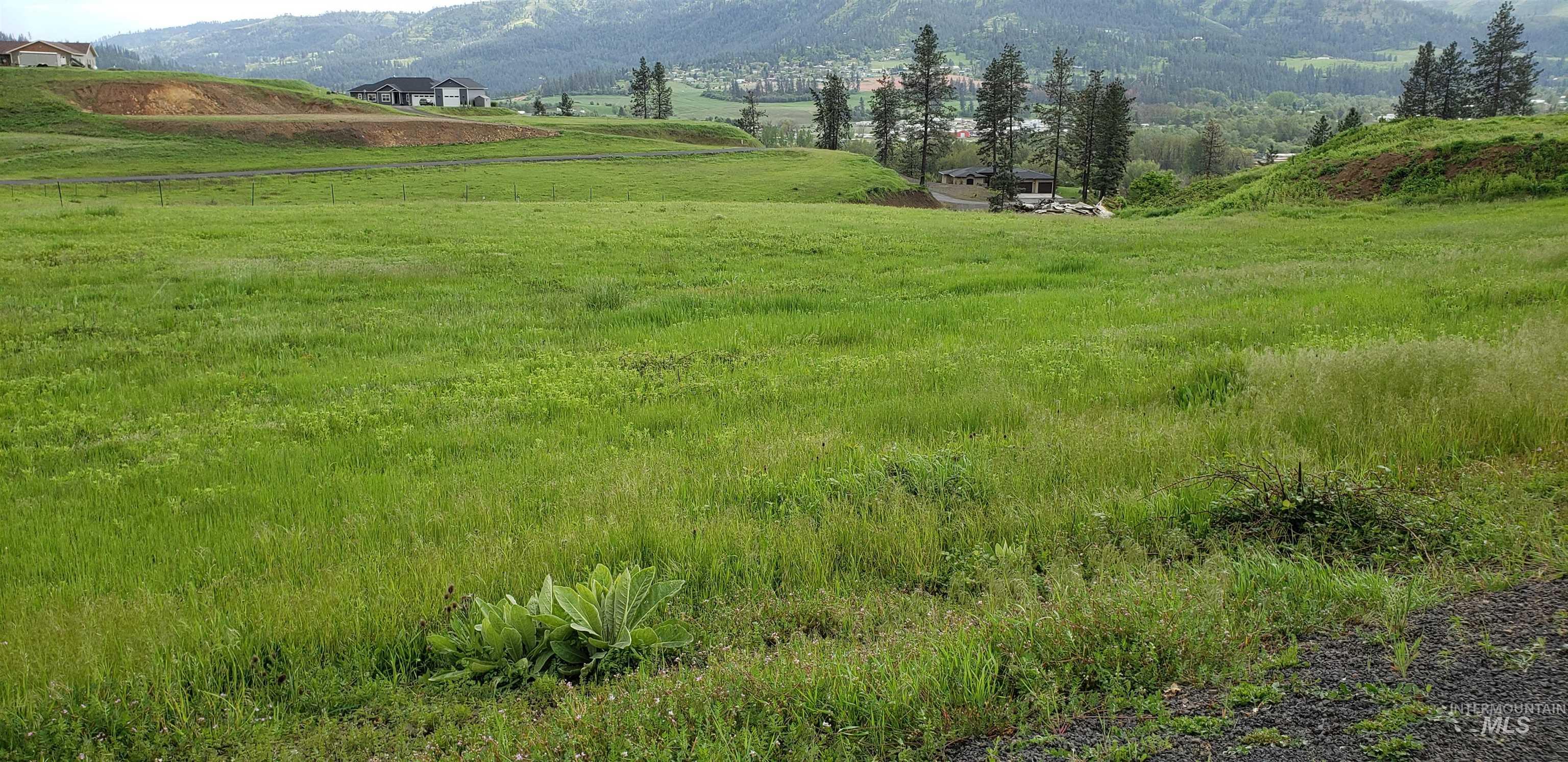 TBD River View Dr, Kamiah, Idaho 83536, Land For Sale, Price $129,000,MLS 98985186