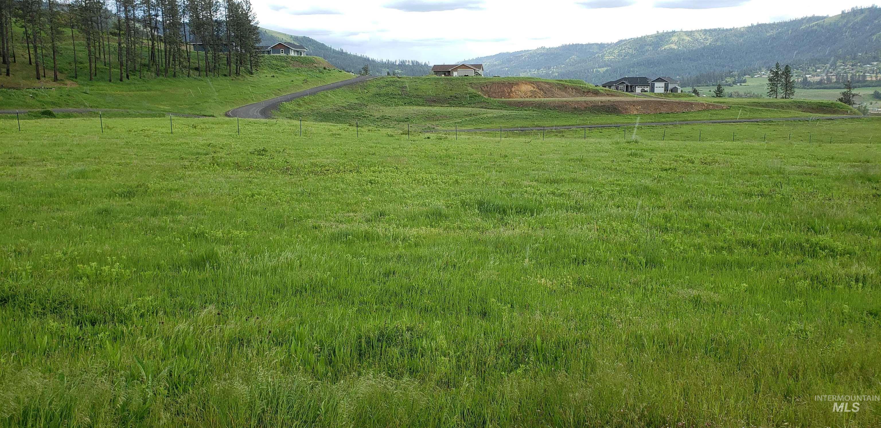 TBD River View Dr, Kamiah, Idaho 83536, Land For Sale, Price $129,000,MLS 98985186