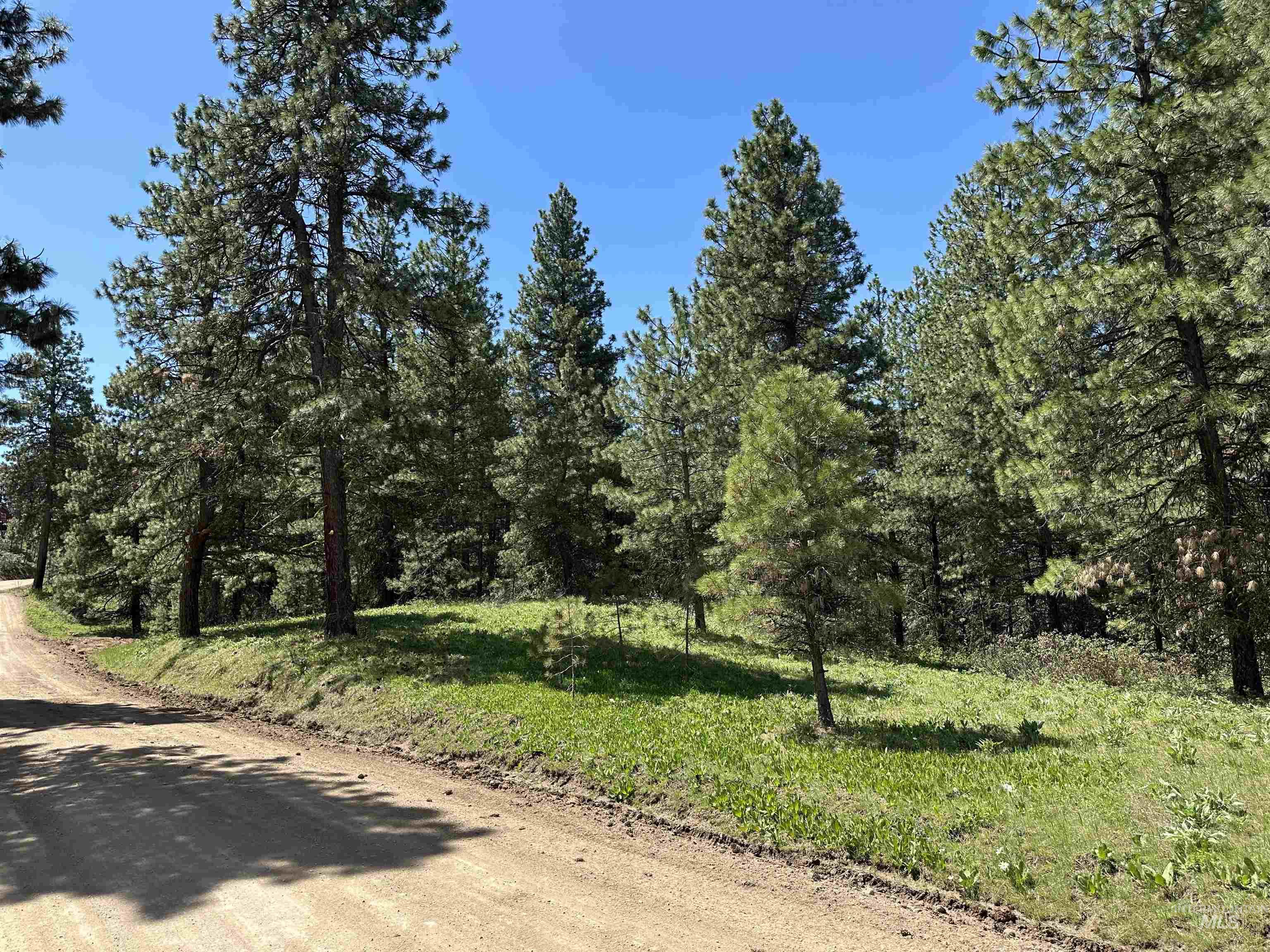 TBD Cruickshank Rd, Banks, Idaho 83602, Land For Sale, Price $165,000,MLS 98985214