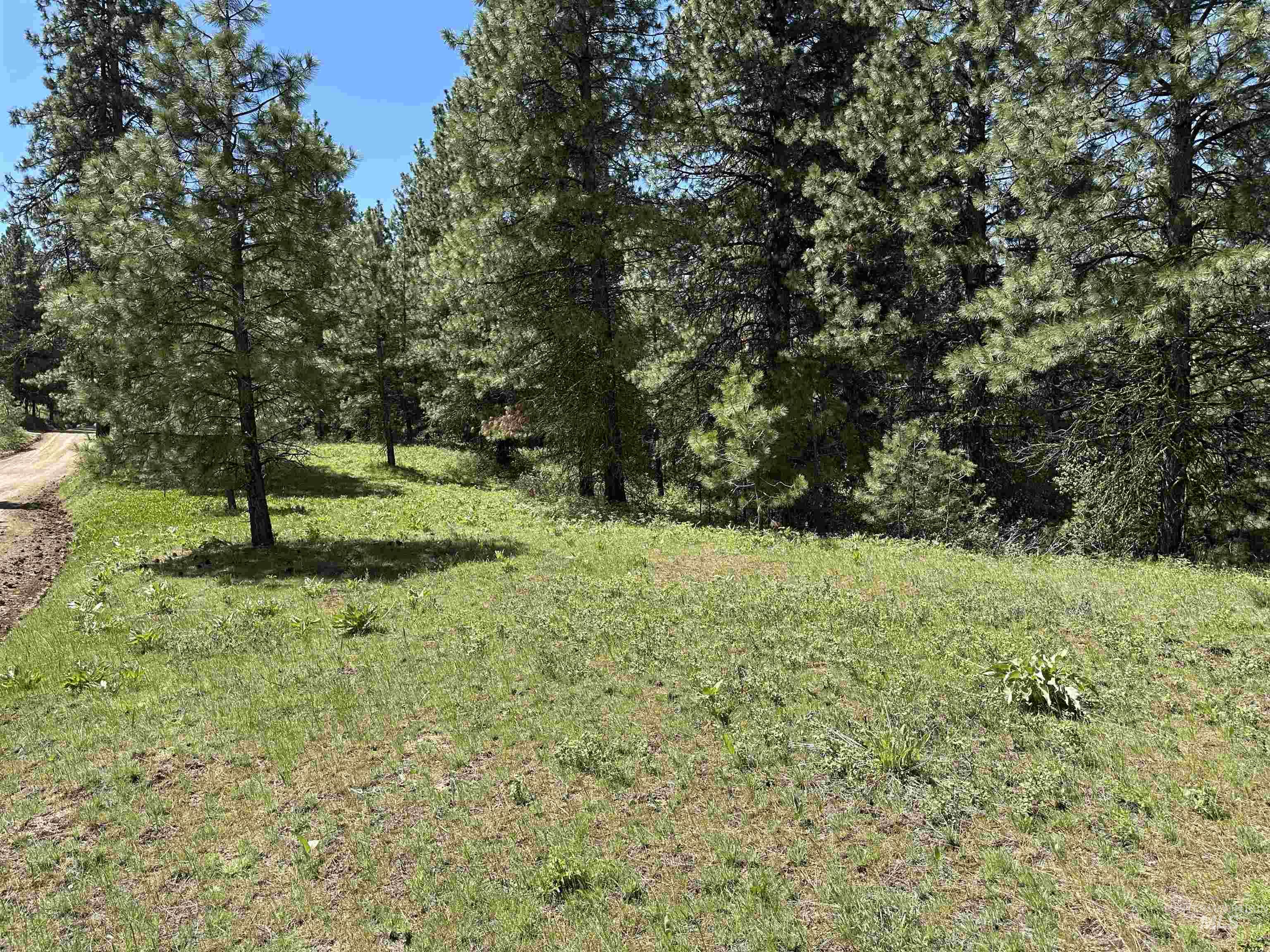 TBD Cruickshank Rd, Banks, Idaho 83602, Land For Sale, Price $165,000,MLS 98985214